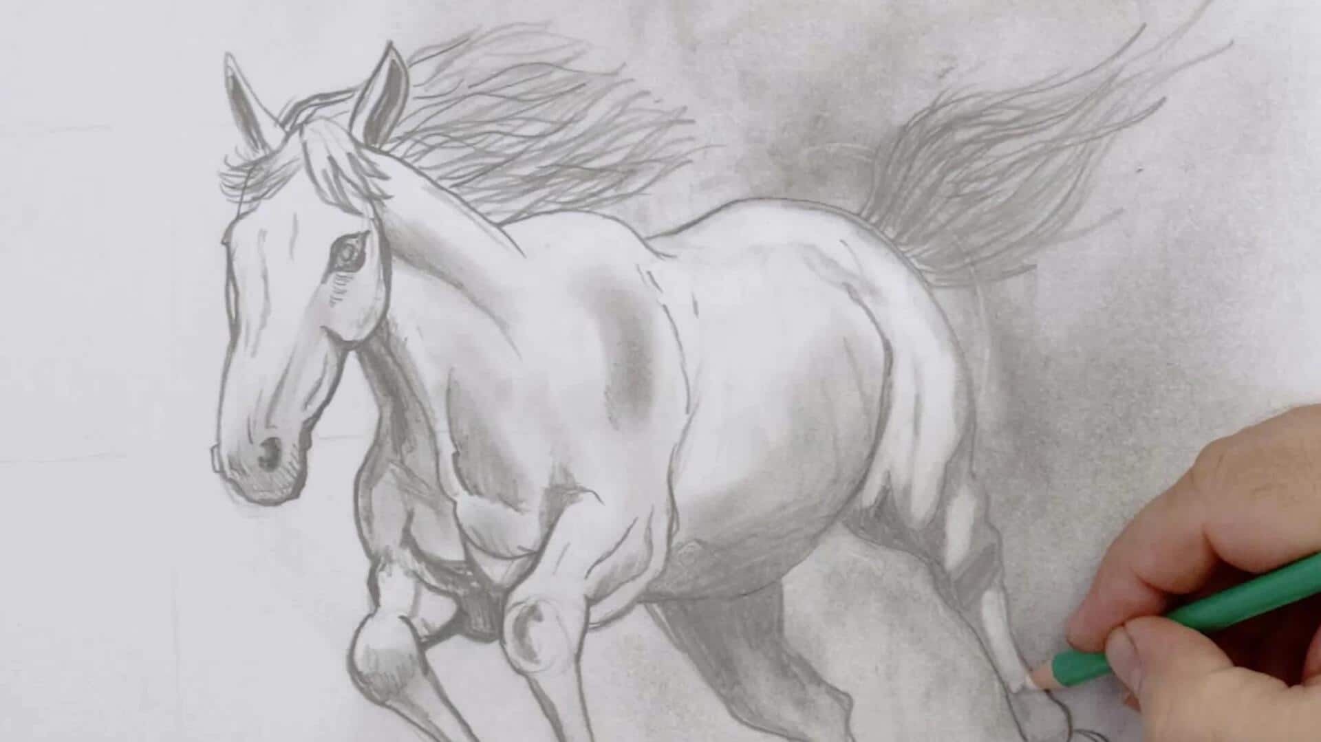 Lima Cara Mudah untuk Menggambar Gestur Hewan yang Ekspresif