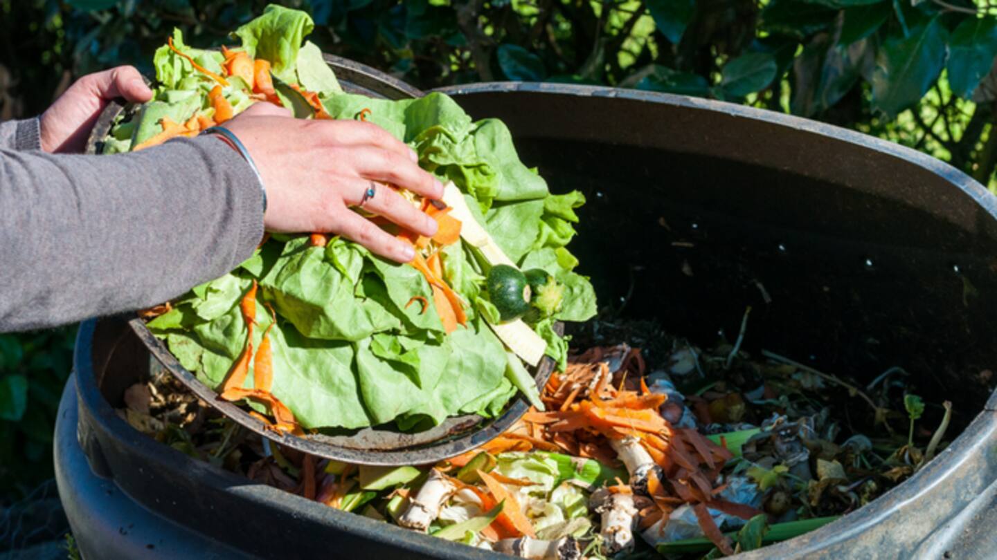 Home Composting 101: Panduan langkah demi langkah untuk mulai membuat kompos di rumah