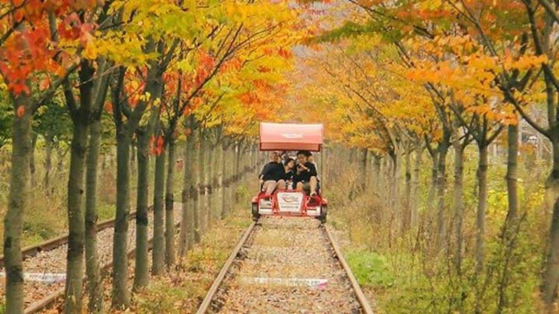 Rasakan Pengalaman Rail Biking Di Gangchon, Korea Selatan