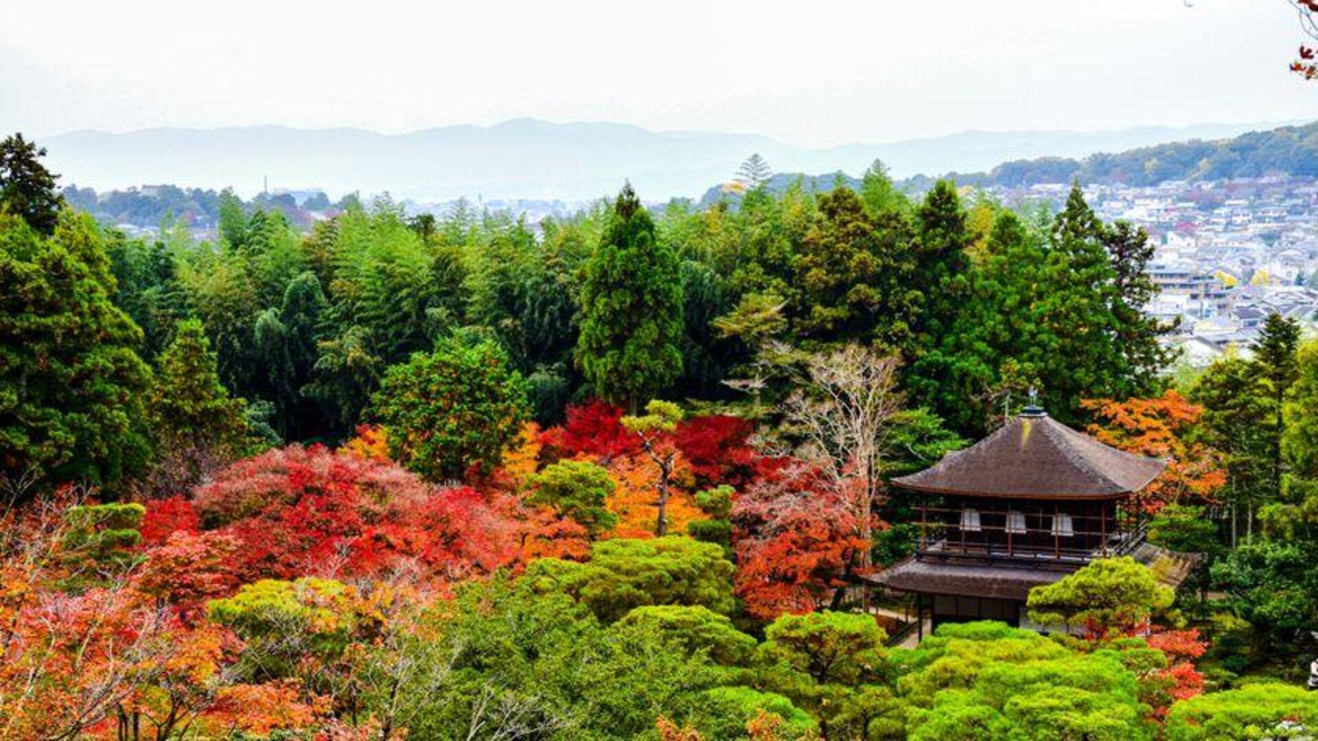 Menemukan Keindahan Taman Musim di Kyoto