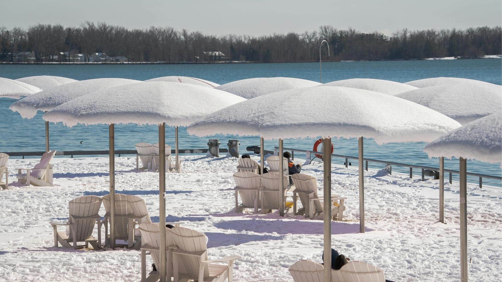 Menjelajahi Atap Hijau Terbaik di Toronto untuk Pemandangan Kota