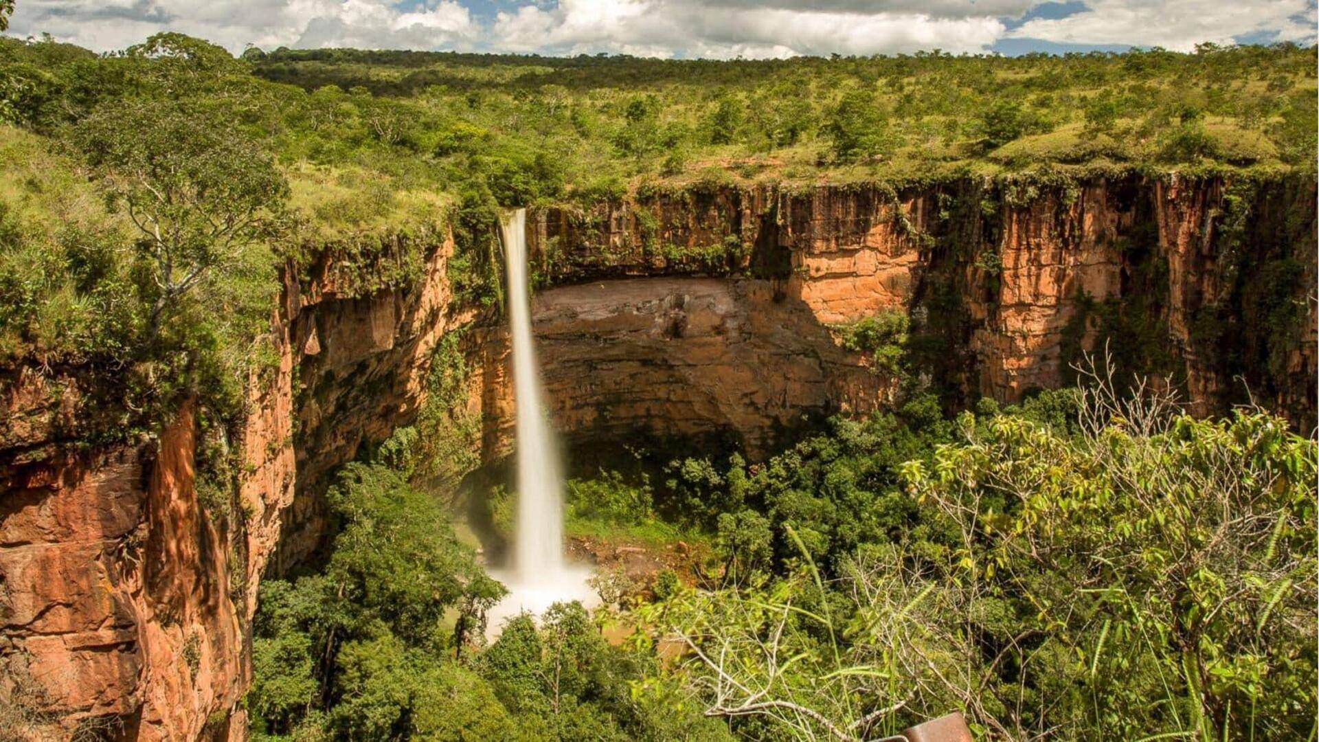 Jelajahi satwa liar di Pantanal, Brasil dengan panduan aktivitas ini 