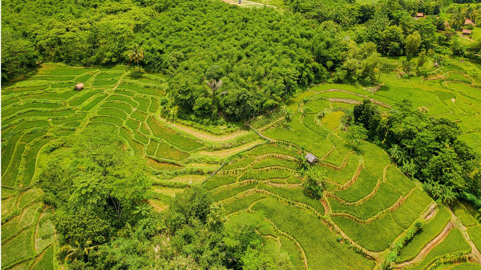 Startup Teknologi Unik yang Mengubah Ekonomi Lokal Indonesia