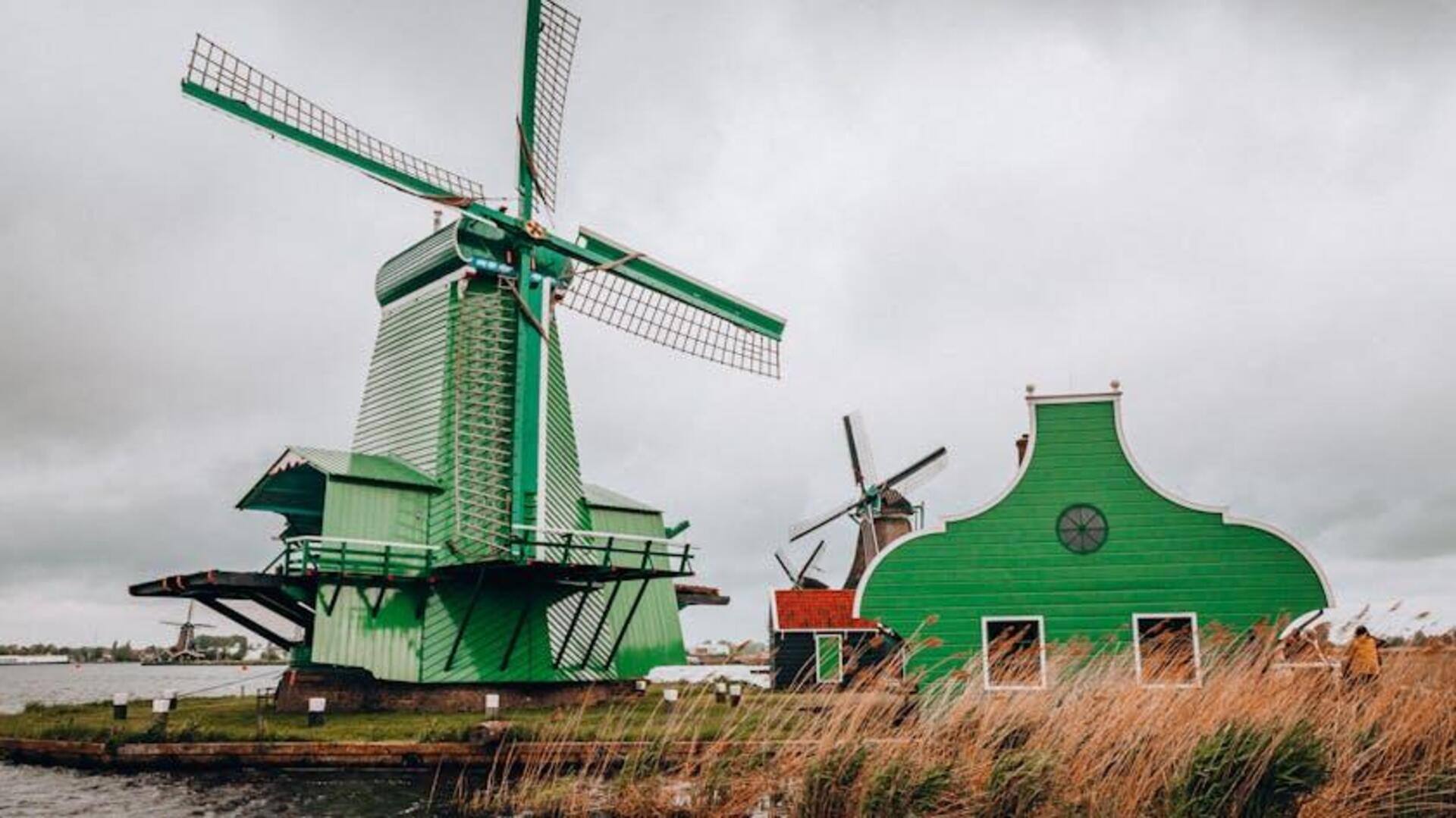 Menyusuri Keindahan Pedesaan Amsterdam dengan Bersepeda Menyusuri Keindahan Pedesaan Amsterdam dengan Bersepeda