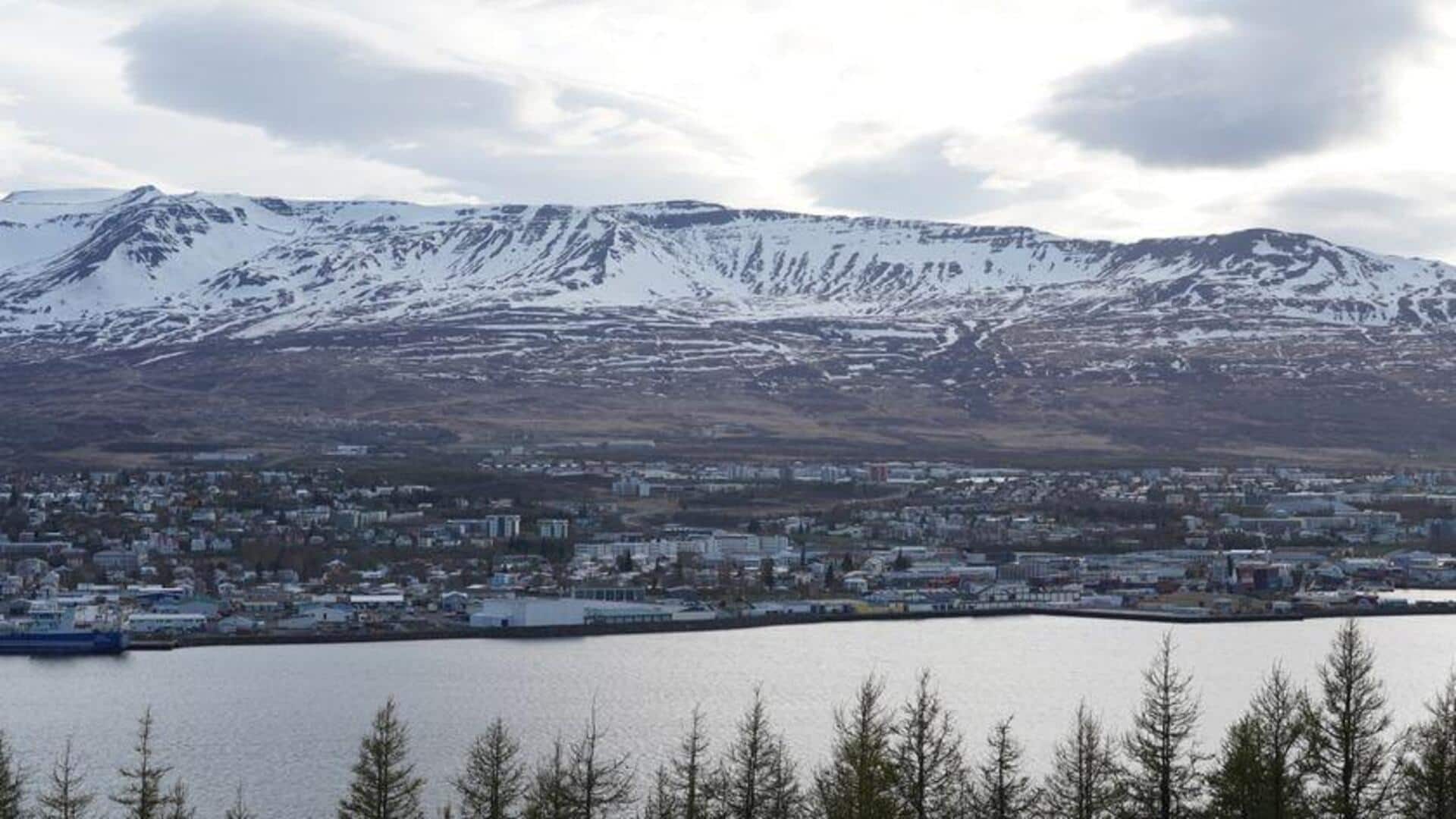 Keindahan Fjord Islandia: 5 Tempat Eksplorasi Menakjubkan