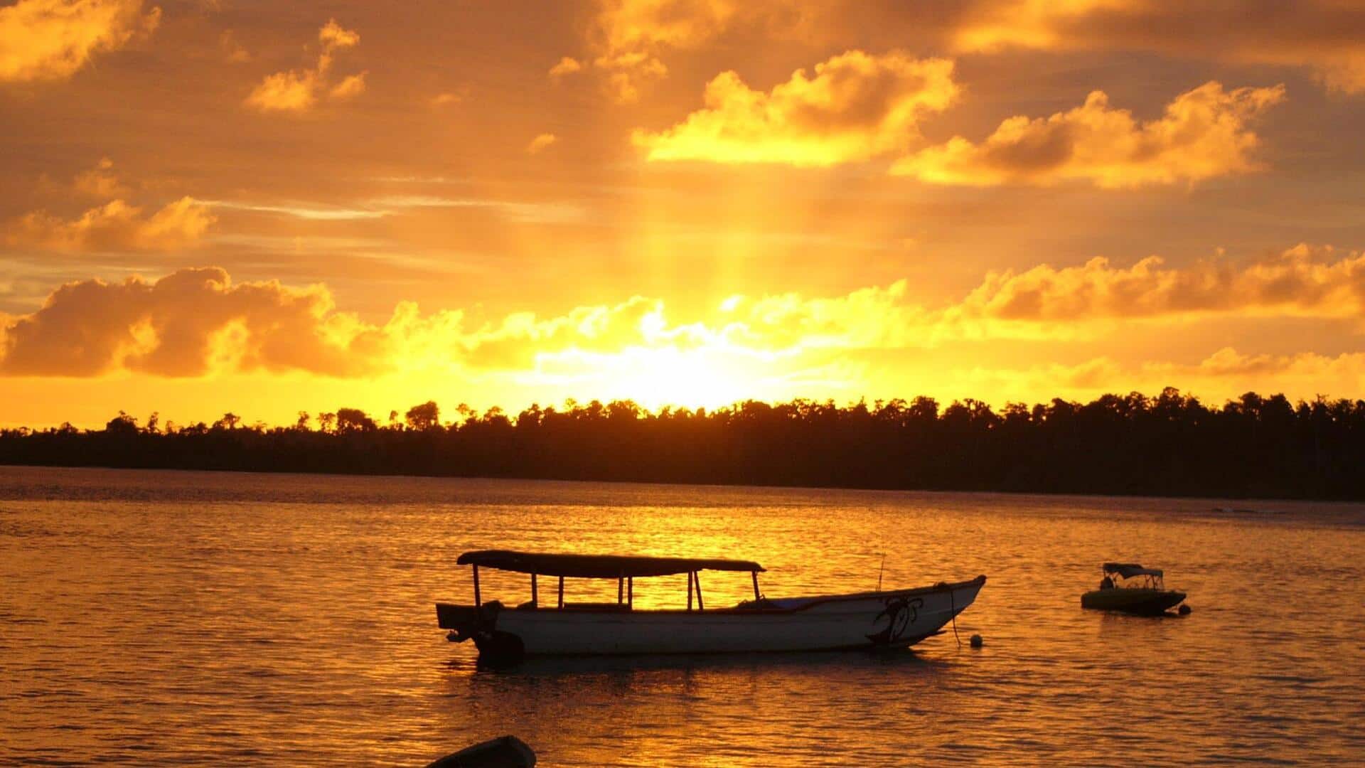 Menangkap Keajaiban Golden Hour dalam Fotografi