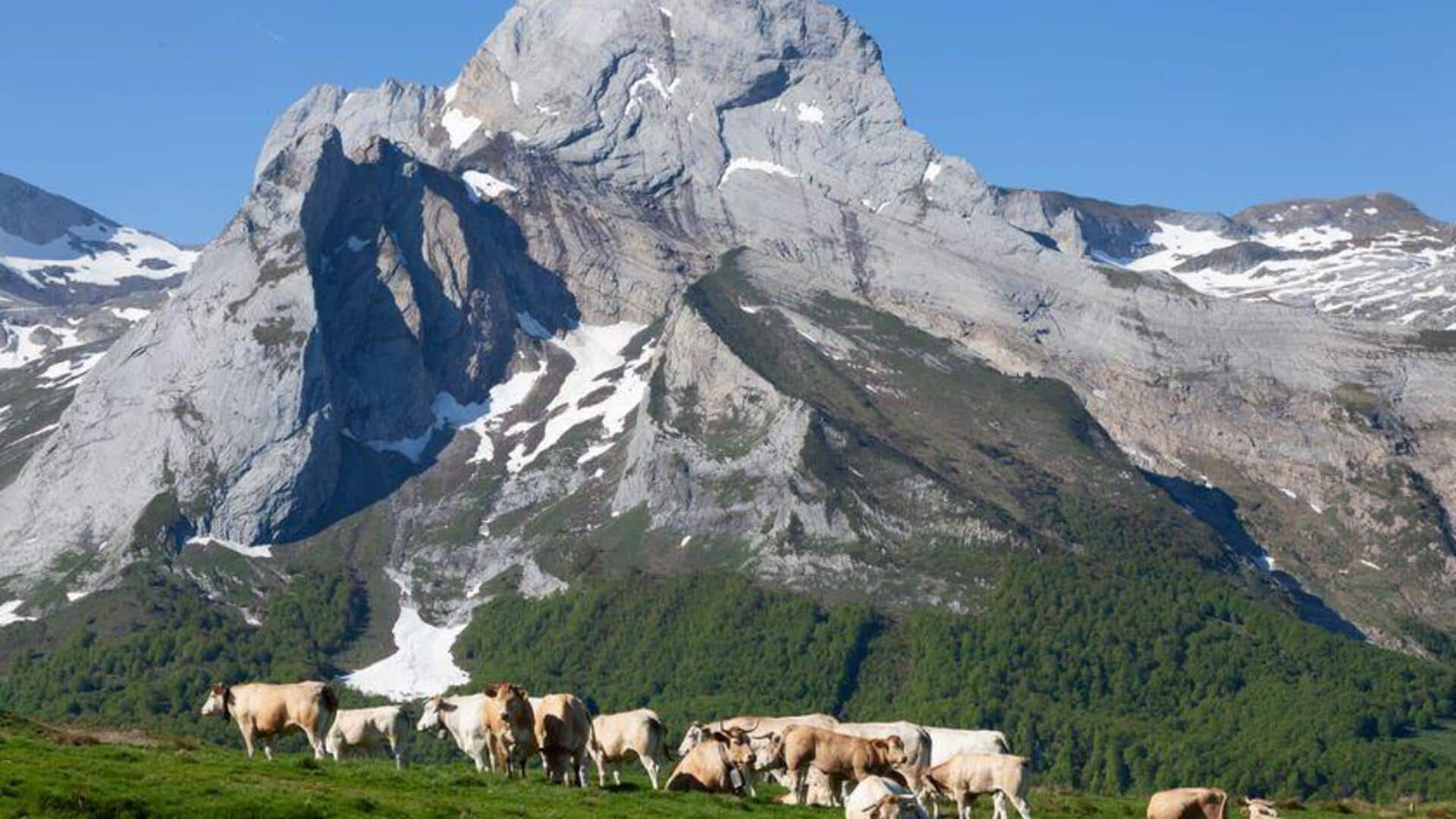 Desa-Desa Menawan di Pyrenees yang Patut Dijelajahi