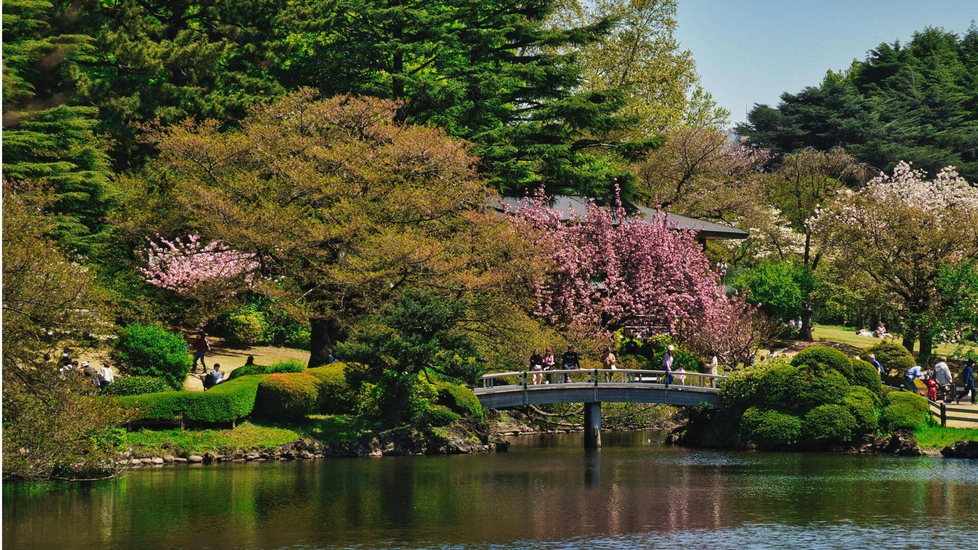 Menemukan Taman Damai di Tokyo yang Jarang Dikunjungi
