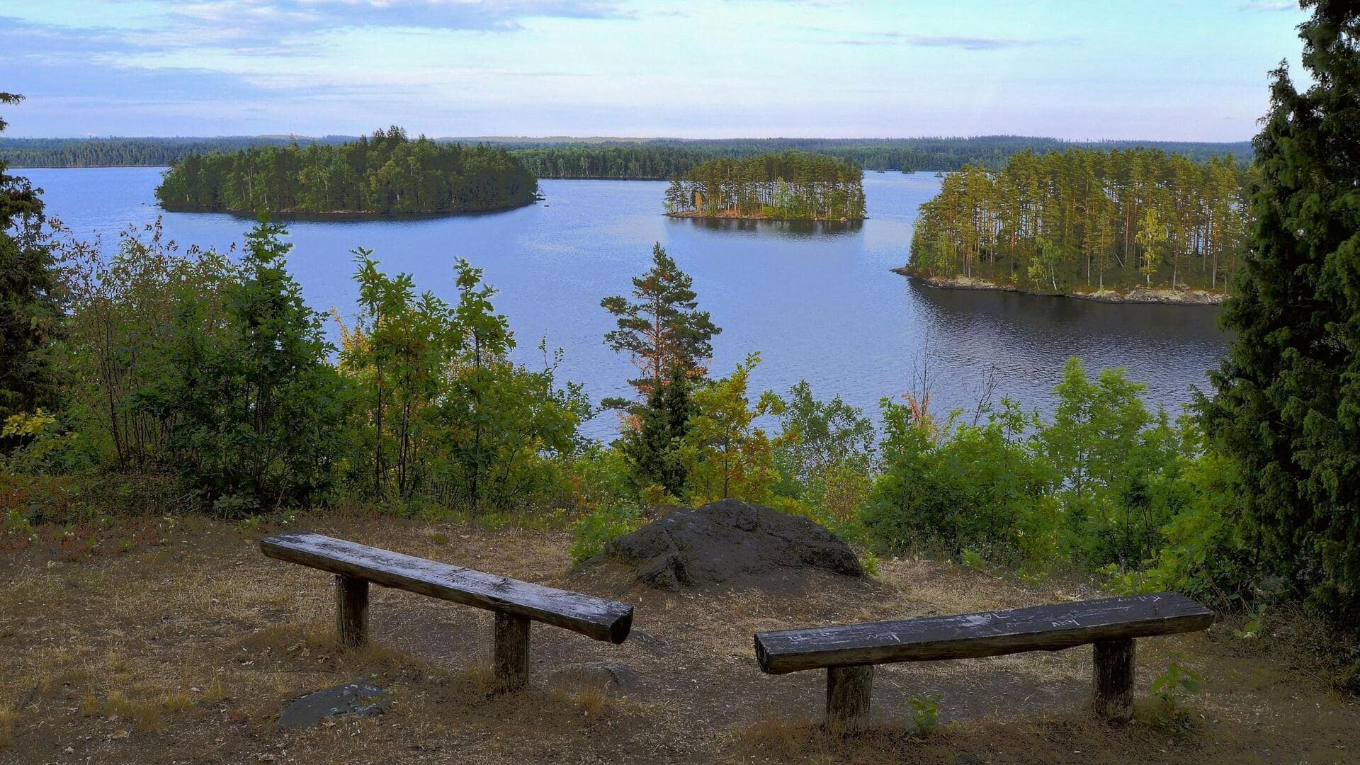 Hutan Pesisir Ajaib di Swedia Selatan untuk Dijelajahi