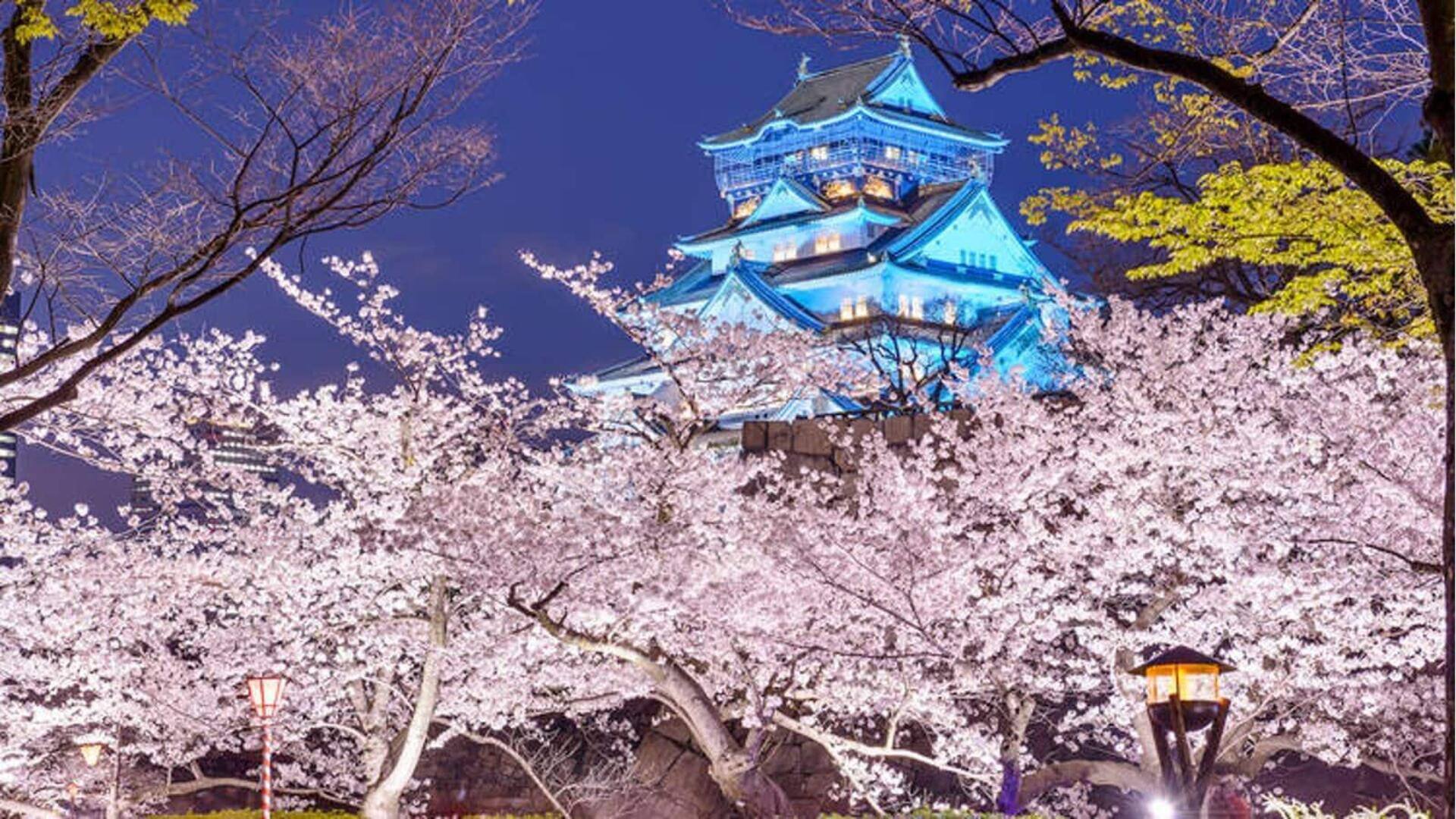 Surga bunga sakura di Osaka patut untuk dikunjungi 