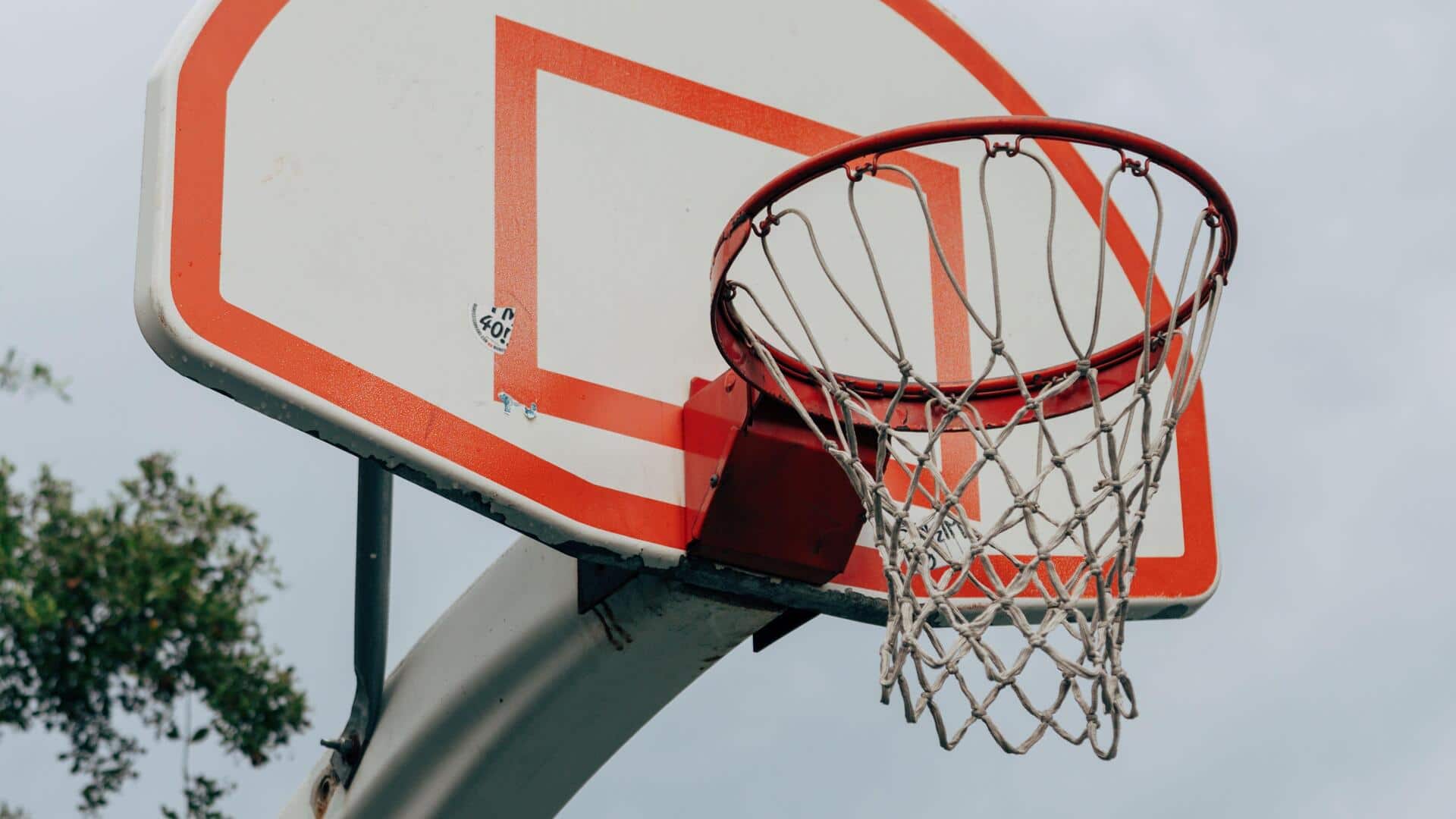 Mengungkap misteri perubahan warna jaring basket