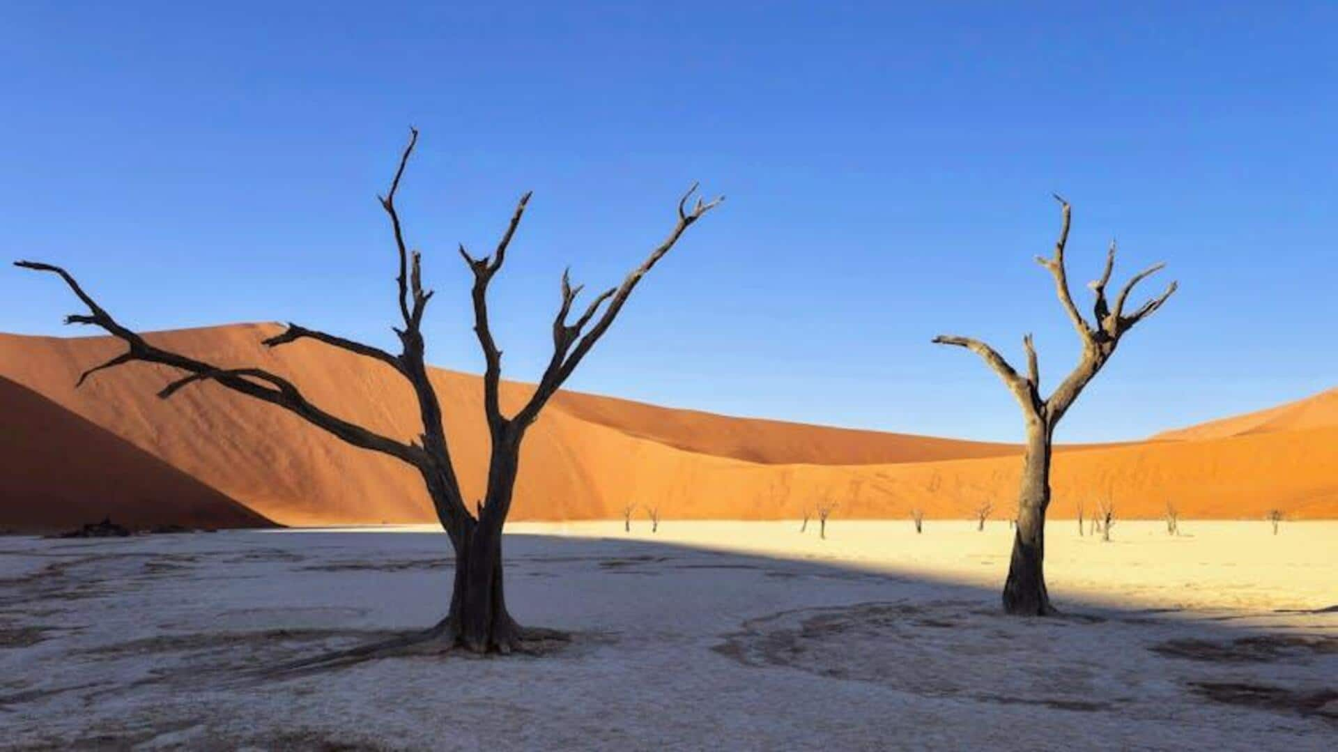 Menjelajahi Keajaiban Taman Nasional Namib-Naukluft, Namibia