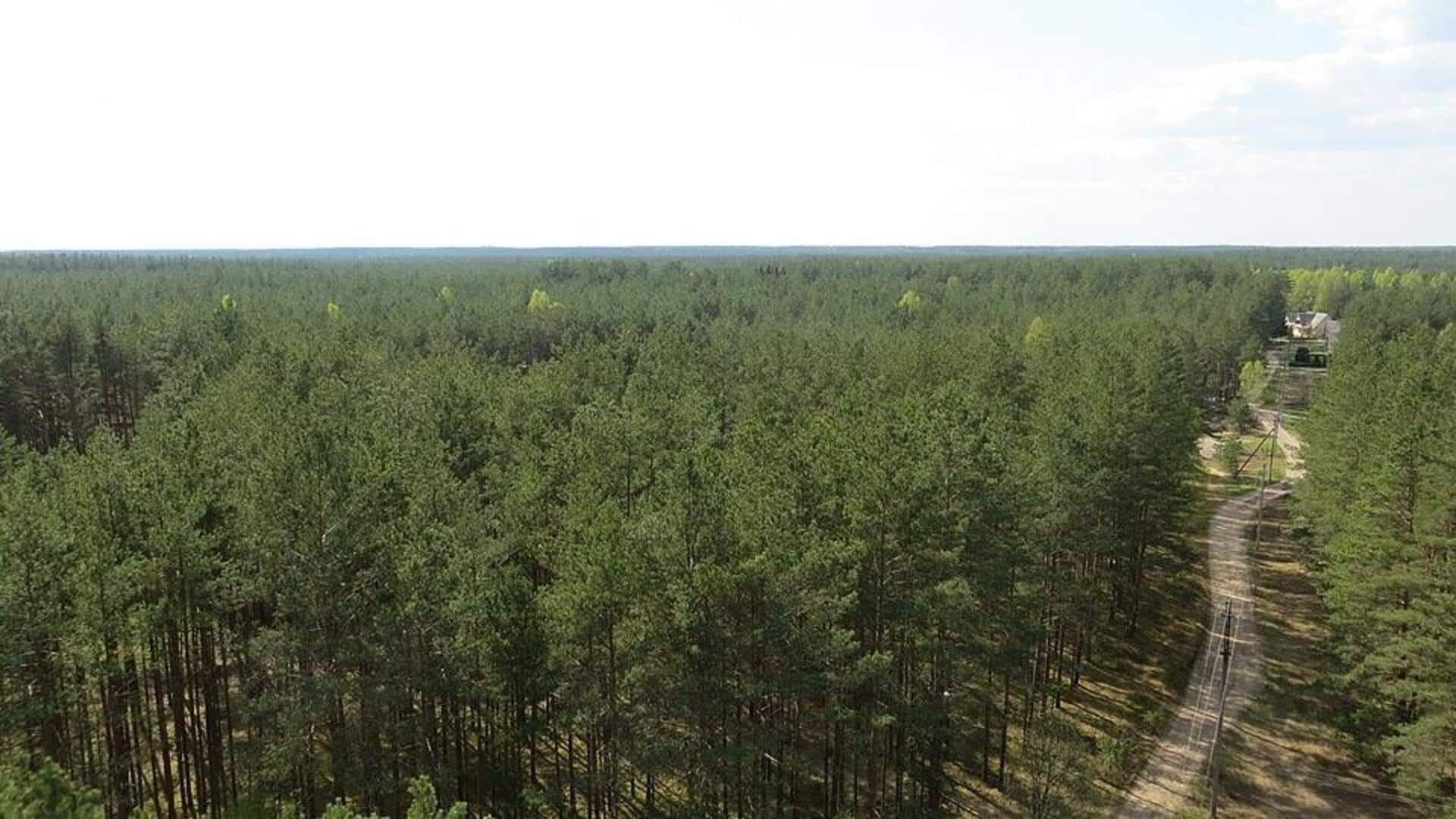Jalur Pendakian Tersembunyi di Lithuania