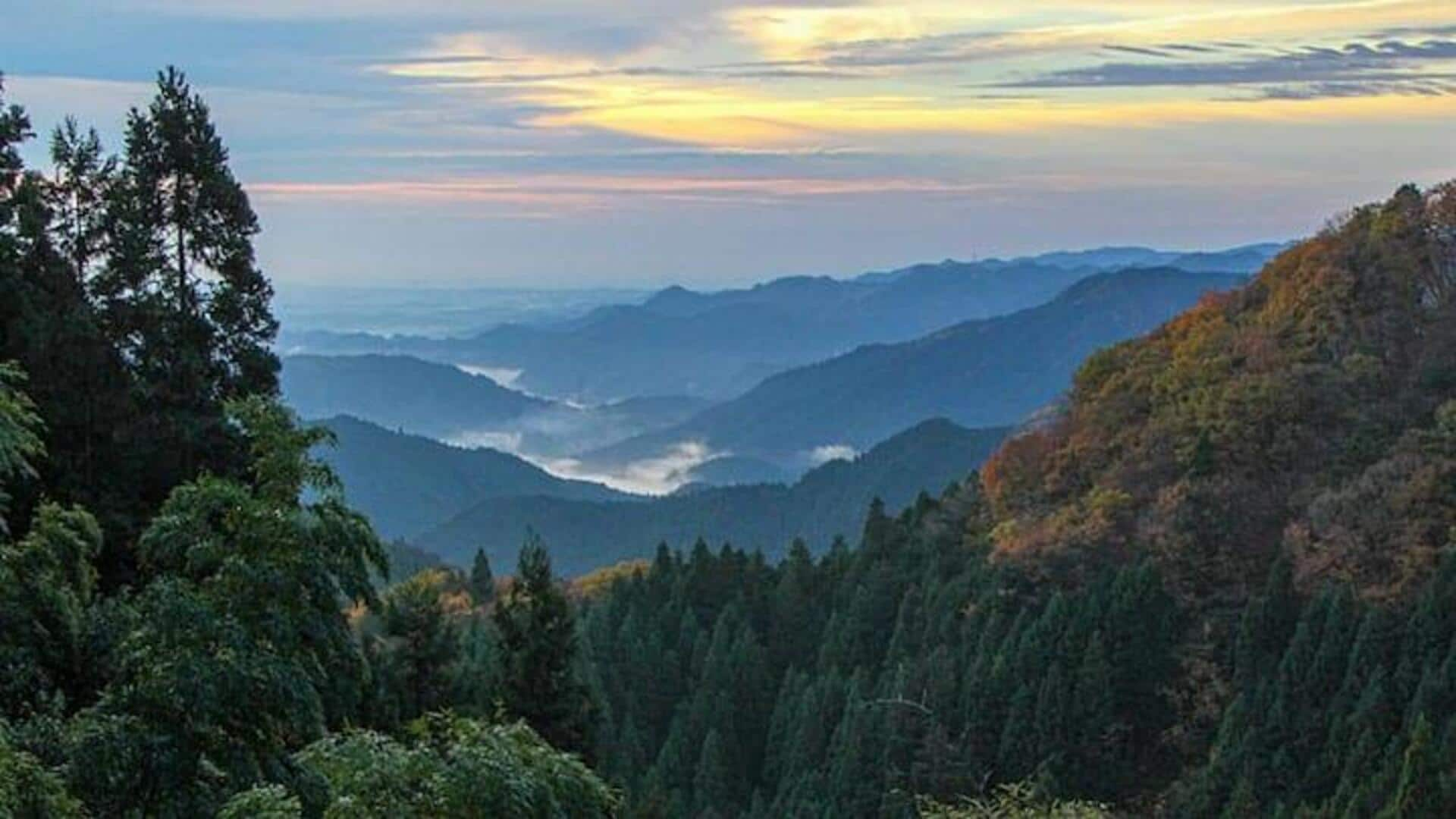 Kunjungi Lokasi Pelarian Alam Yang Tersembunyi Di Tokyo