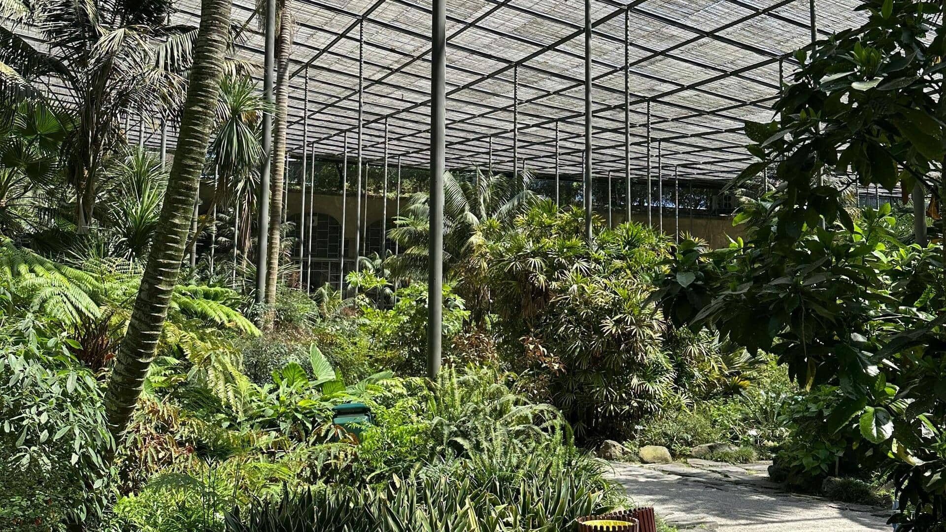Kebun Tersembunyi di Lisbon: Jelajahi Surga Botani Rahasia