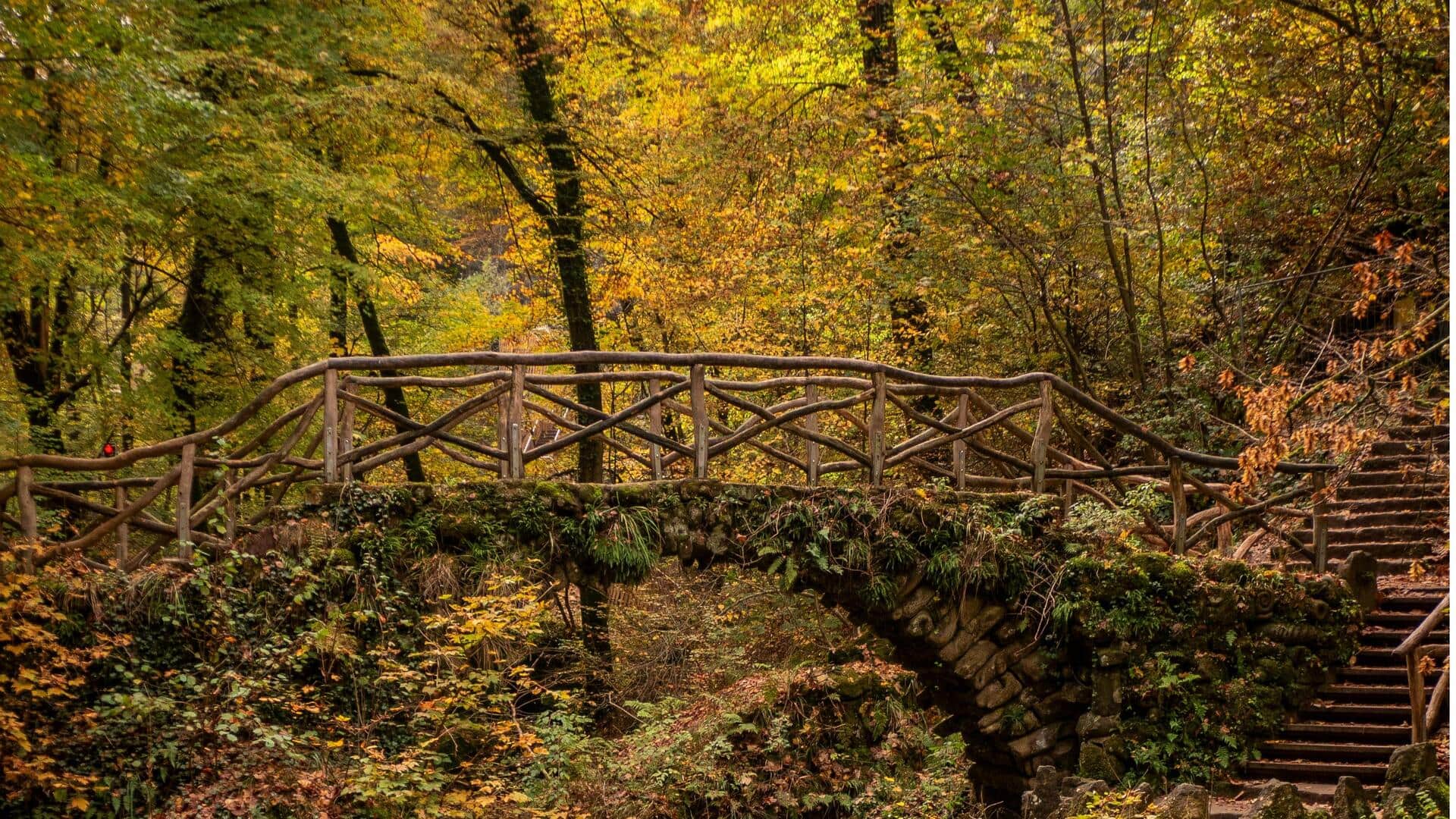 Hutan Tenang di Luksemburg: Menjelajahi Jalur yang Indah