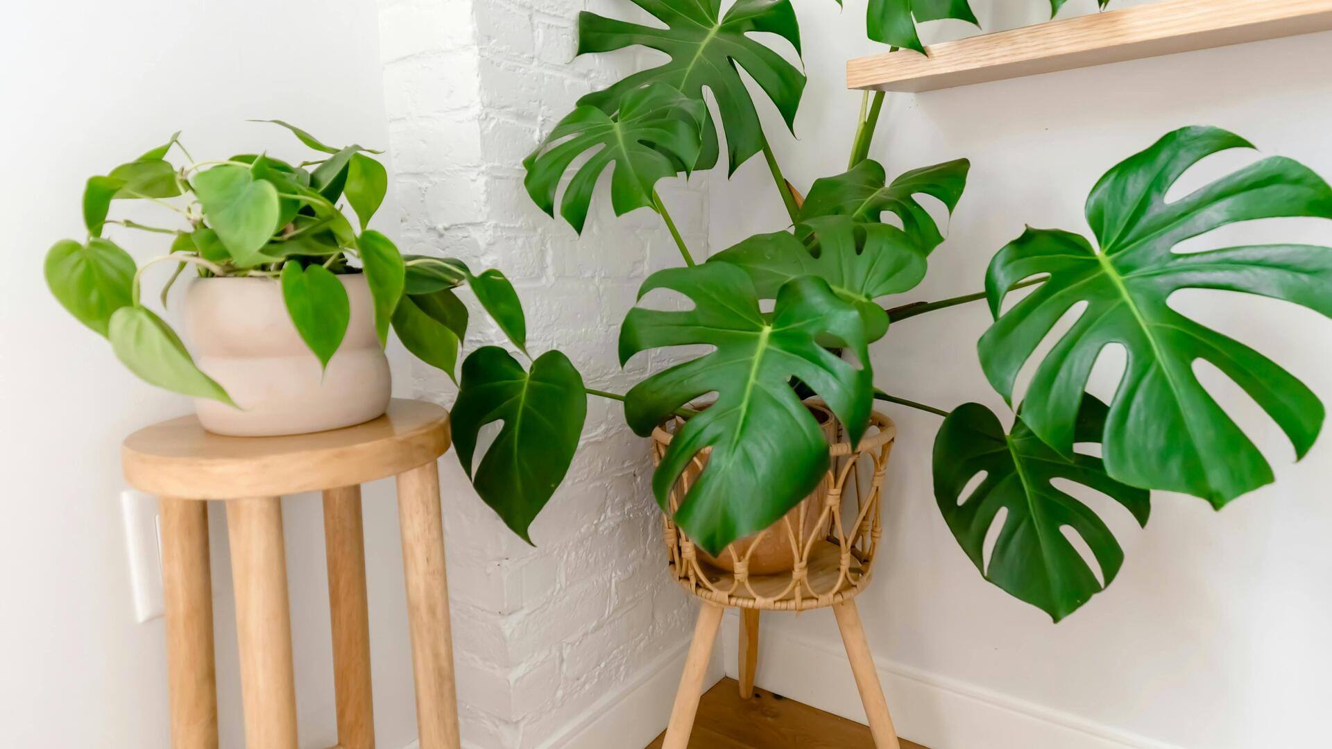 Dekorasi rumah dengan bahan berkelanjutan