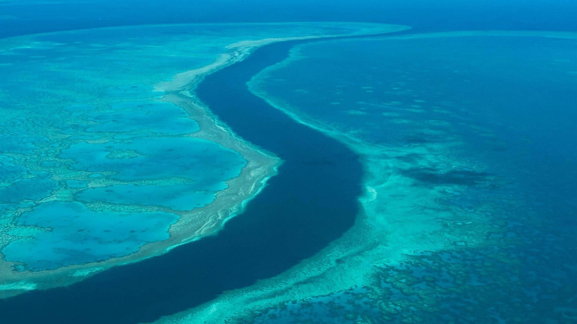 Menjelajahi Terumbu Karang Besar Australia dengan Bertanggung Jawab