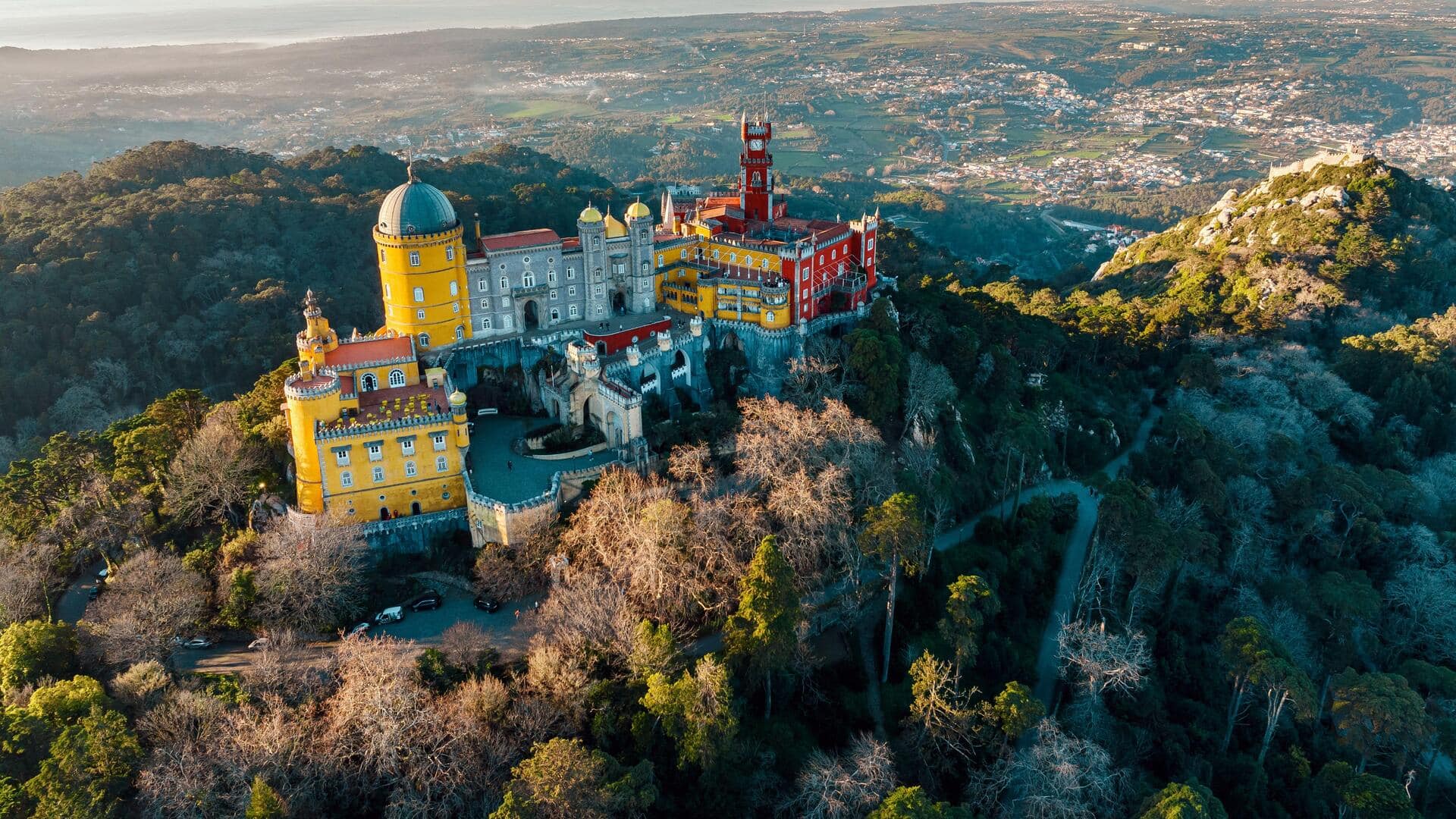 Flora Rahasia Portugal: Jelajahi Taman di Kota Indah