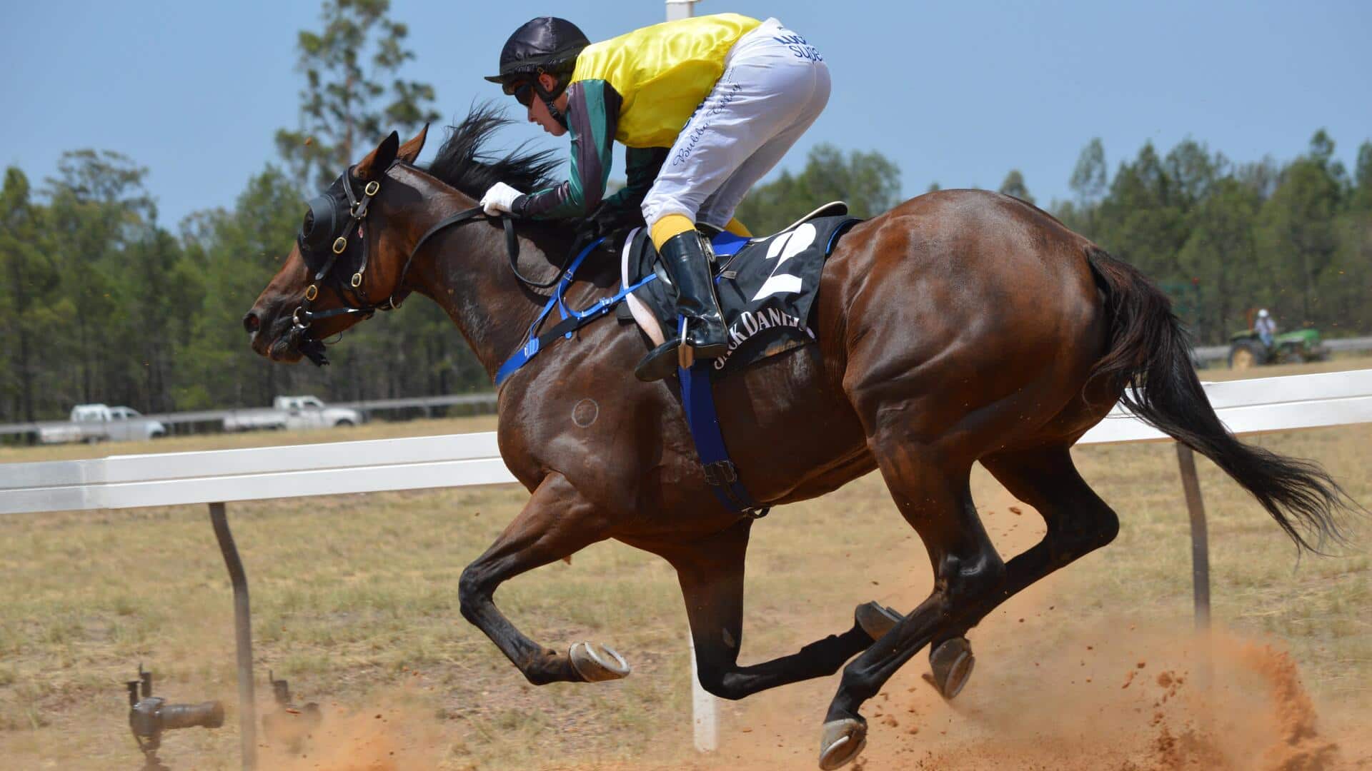 Mengapa kuda pacu memakai penutup mata: Fakta di balik pelindung mata