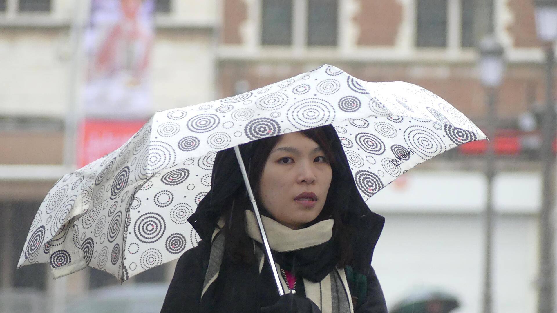 Memperbarui gaya musim hujan dengan payung modis