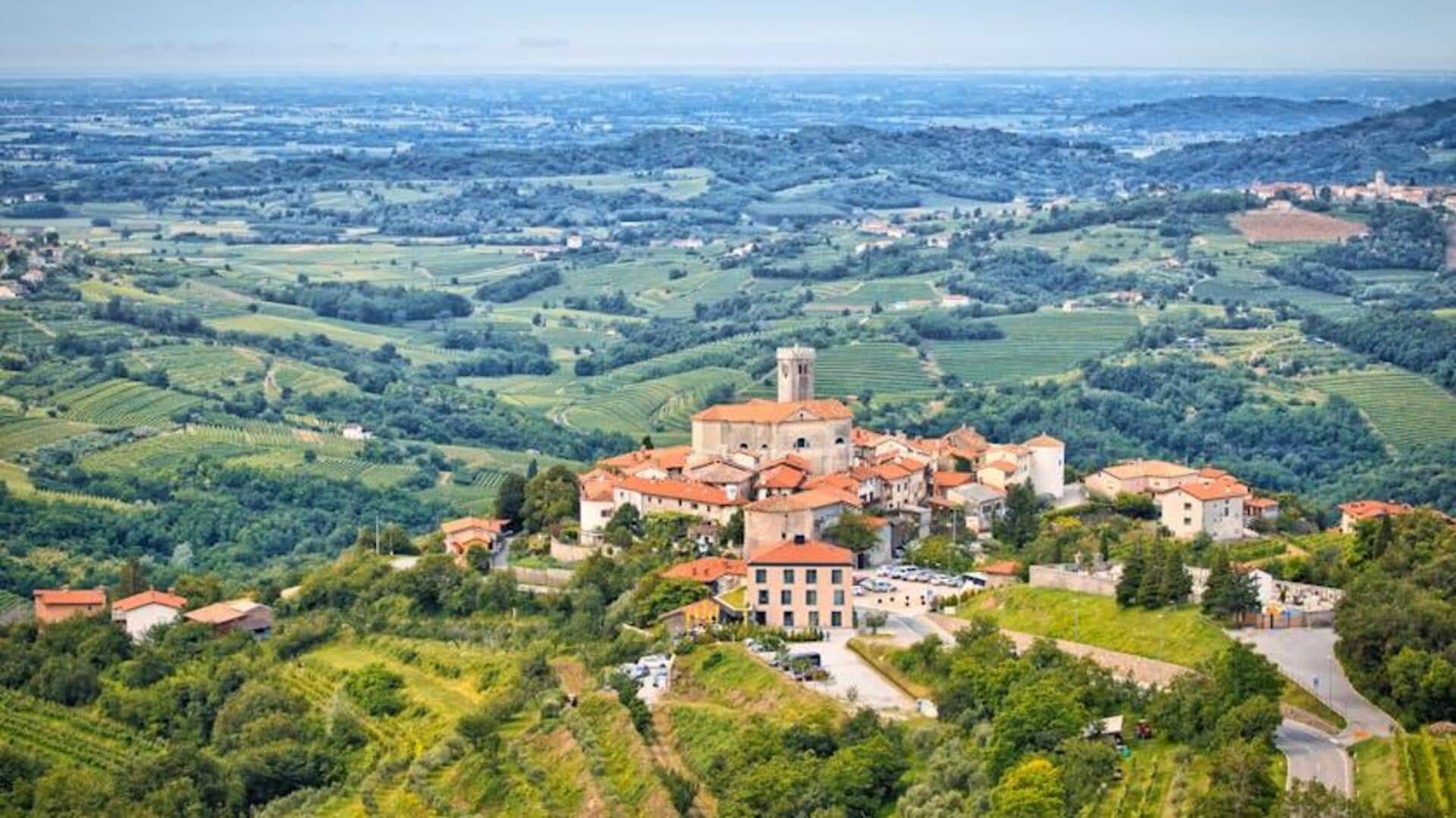 Rute Jalan Kaki Indah di Kebun Anggur Slovenia