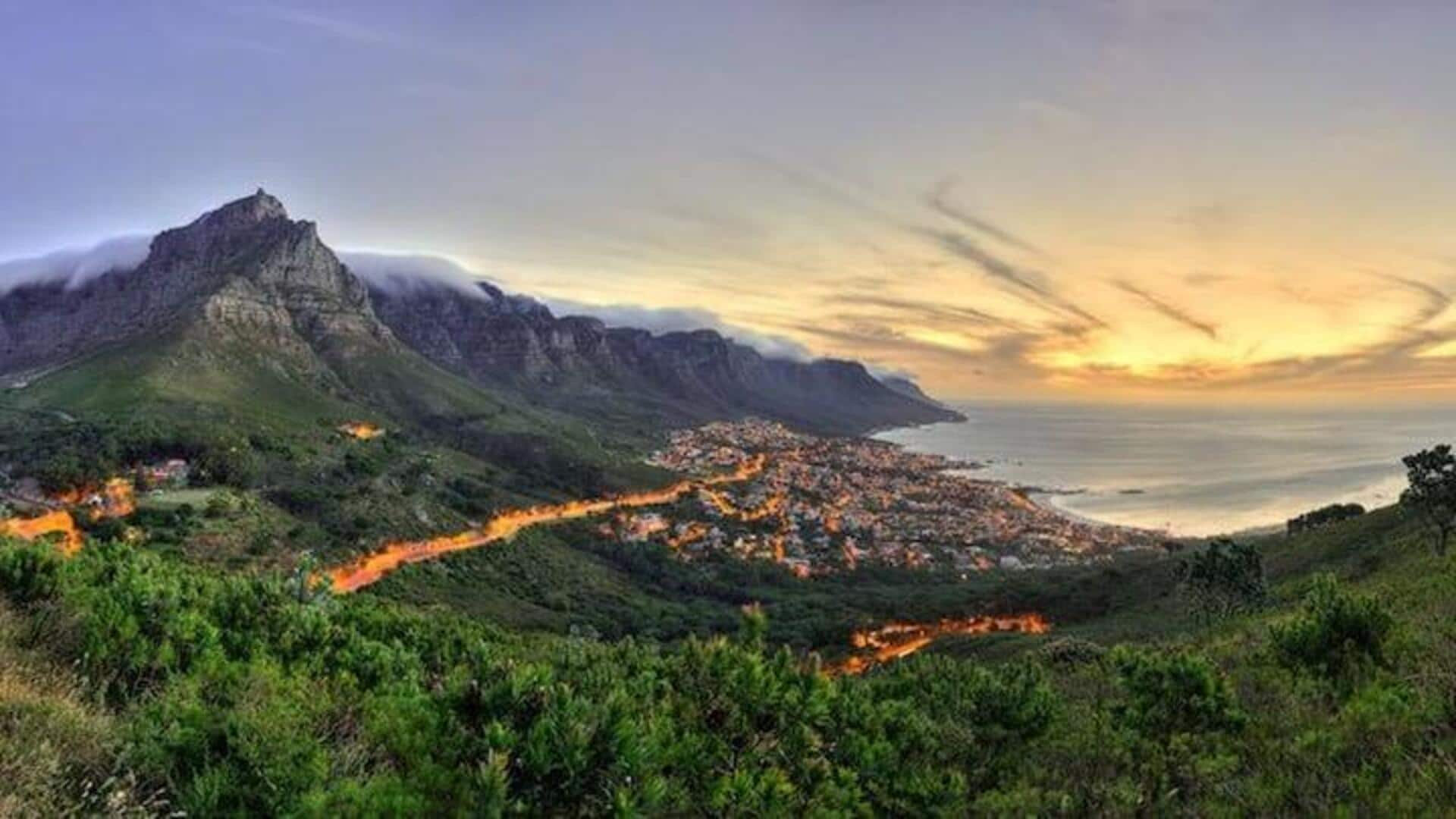 Simaklah Panduan Untuk Safari Survival Di Cape Town