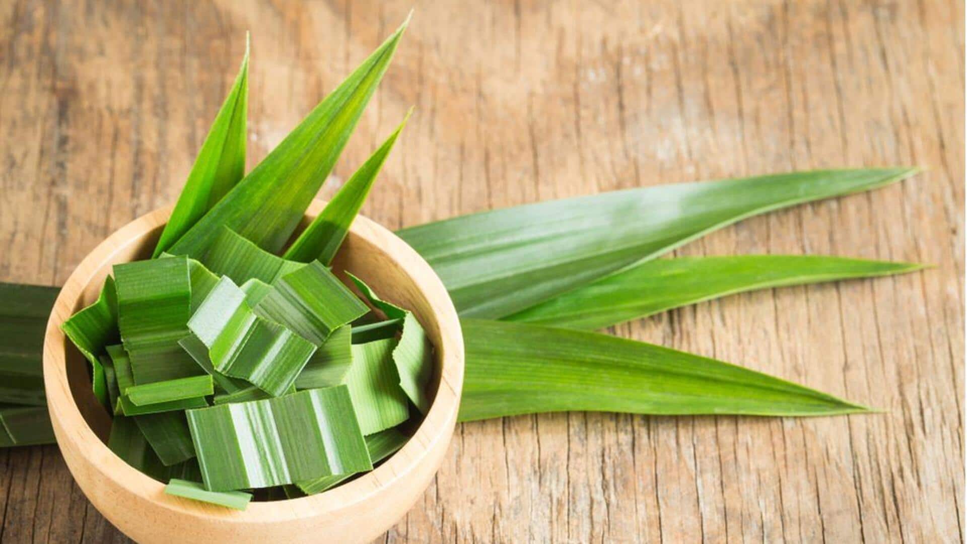 Daun-daun Aromatik yang sering Digunakan dalam Masakan Jawa Daun-daun Aromatik yang sering Digunakan dalam Masakan Jawa