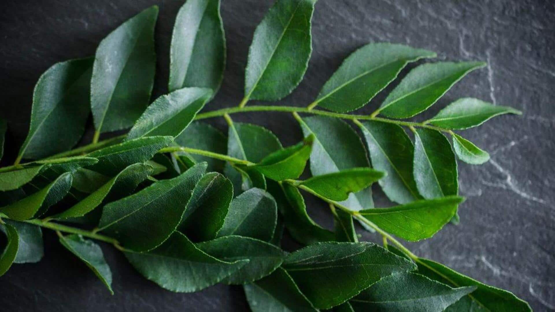Manfaat Tersembunyi dari Daun Kari dalam Dunia Kuliner India