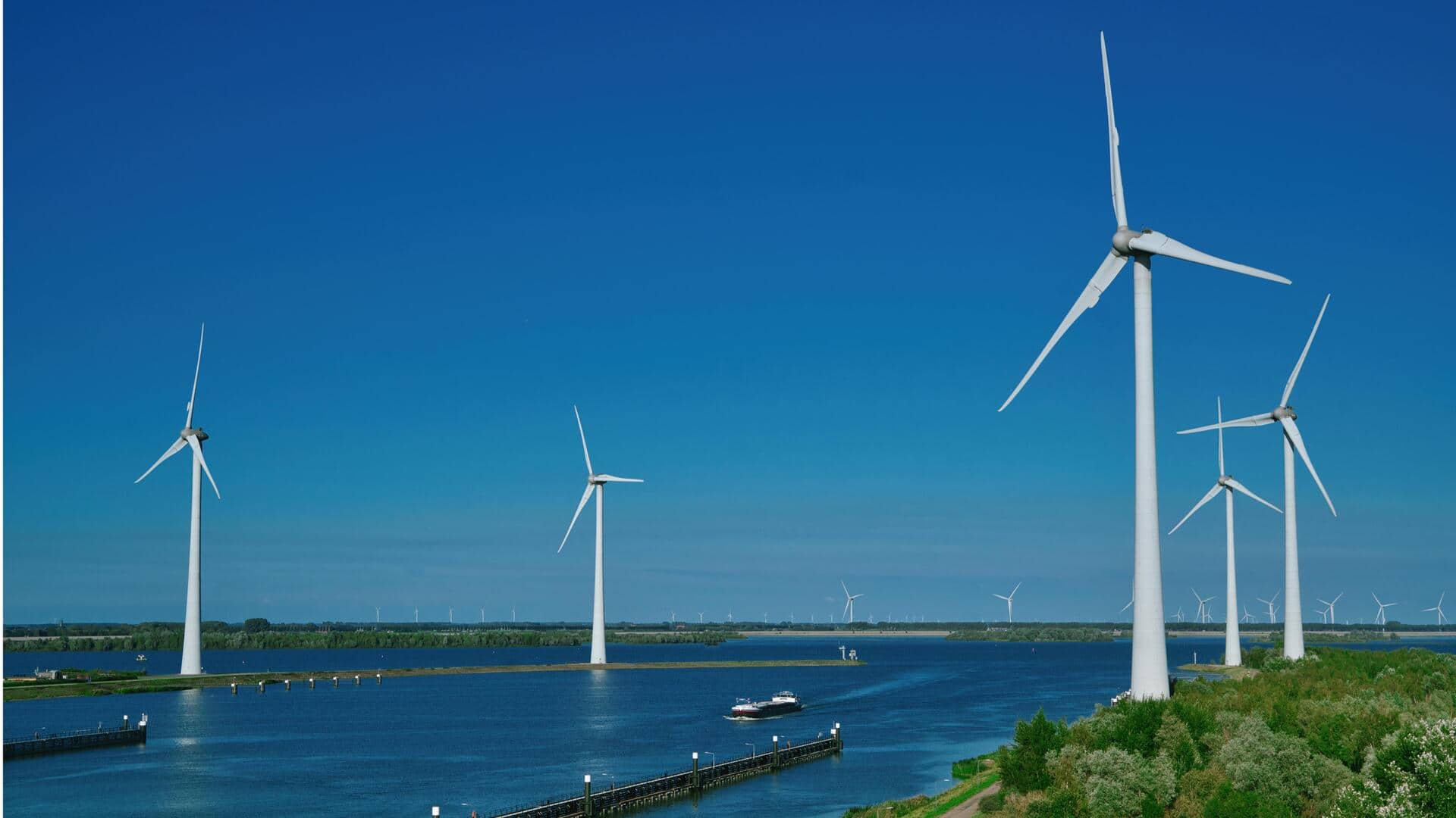 Turbin Angin Meniru Sayap Burung Hantu untuk Efisiensi