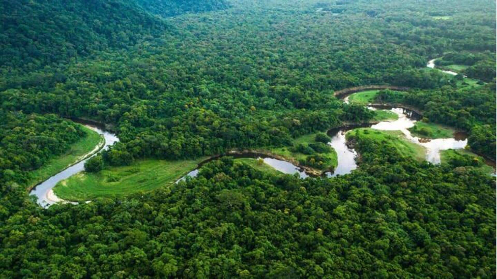 Mulailah ekspedisi Hutan Hujan Amazon bersama saudara Anda
