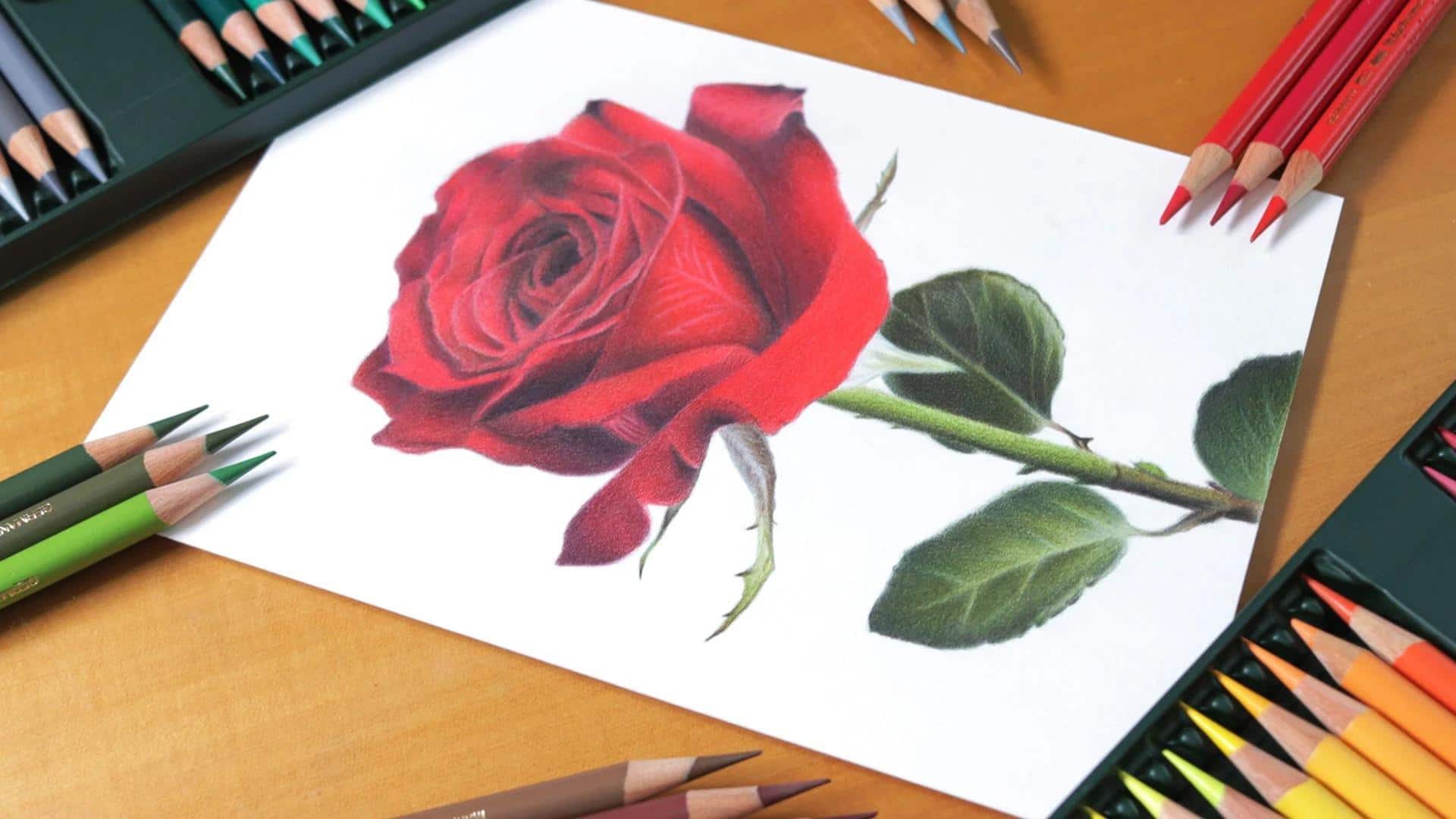 Lima Teknik untuk Menggambar Bunga dengan Pensil Warna