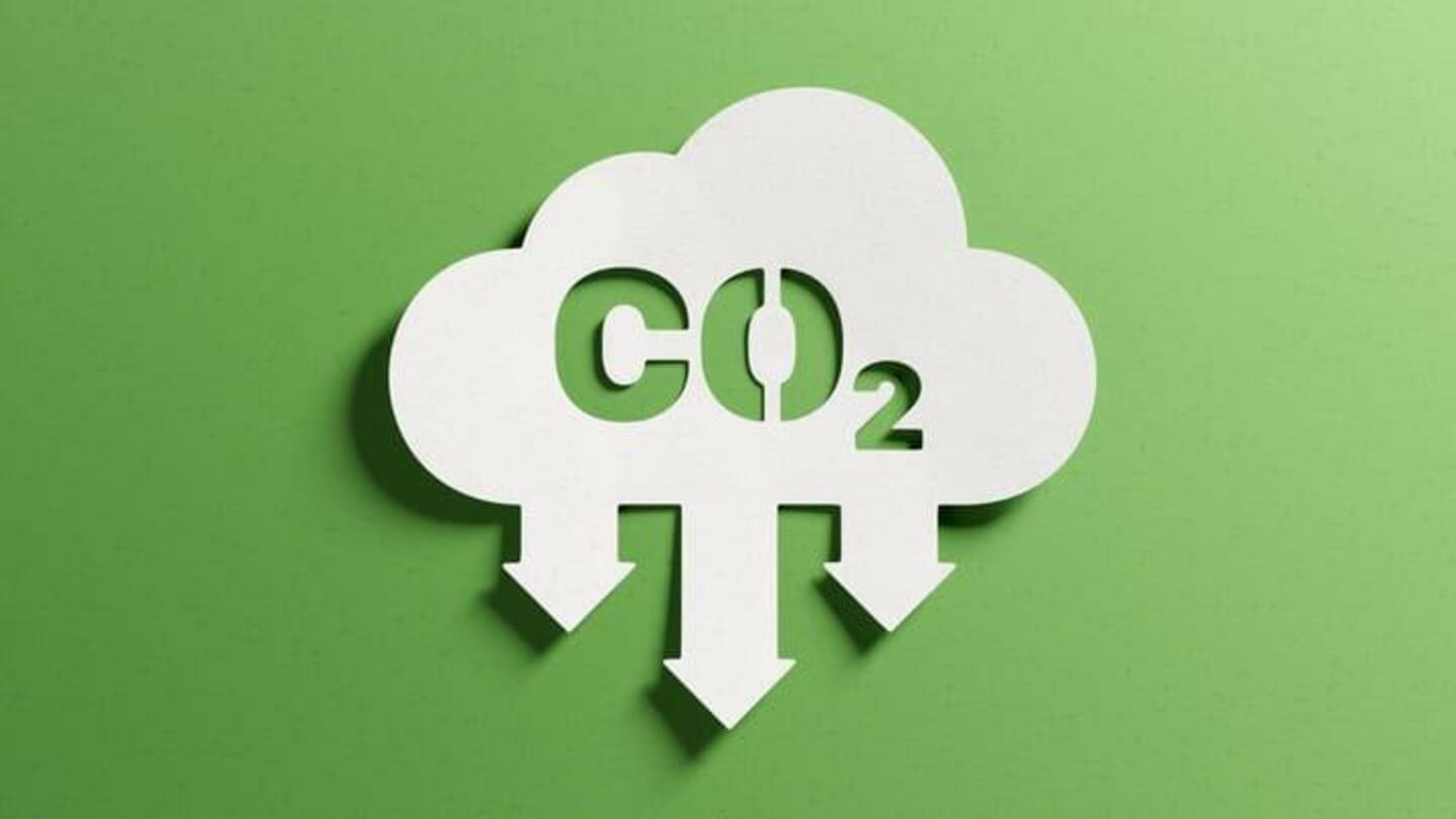 Lima Cara Sederhana Untuk Mengurangi Jejak Karbon Anda