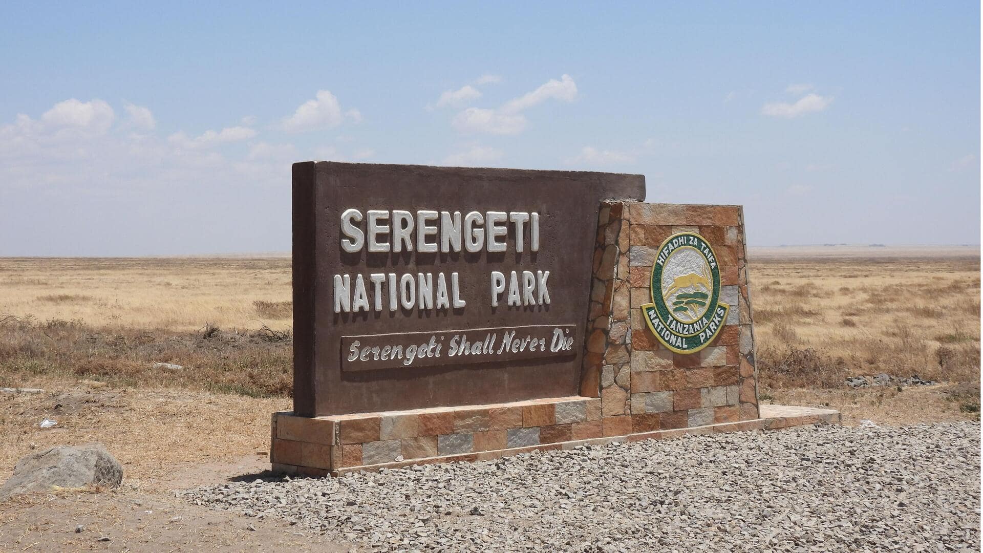 Jelajahi Serengeti di Tanzania: Impian Pencinta Satwa Liar