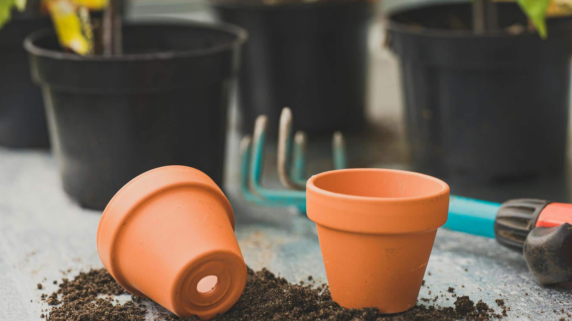 Memperpanjang umur roti dengan pot tanah liat