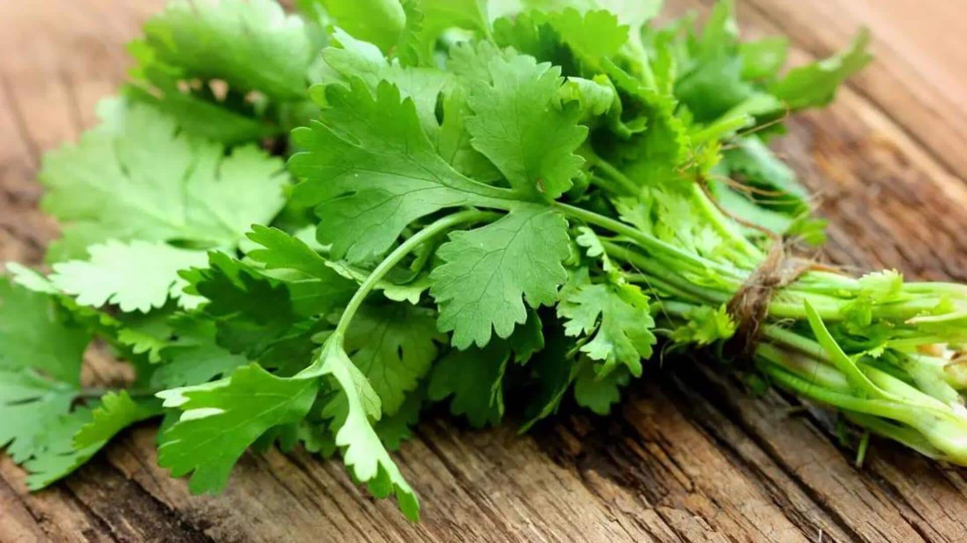 Sederet Herbal yang Memperkaya Cita Rasa Hidangan Vegetarian