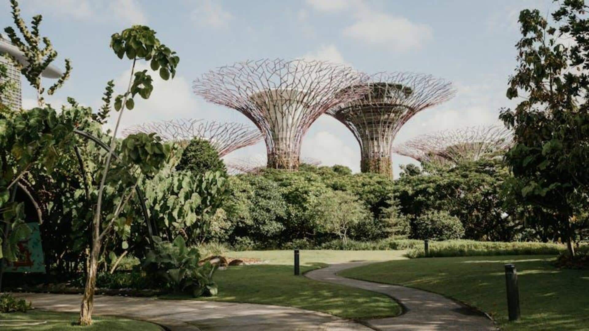 Lima Negara Pelopor Teknologi Ekspansi Hutan Perkotaan