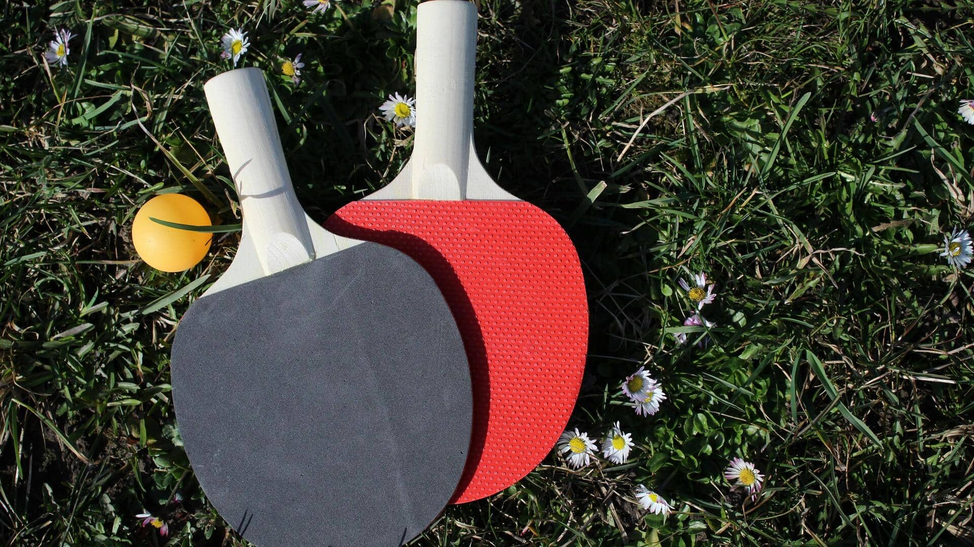 Bahan bet tenis meja yang memengaruhi putaran dan kecepatan