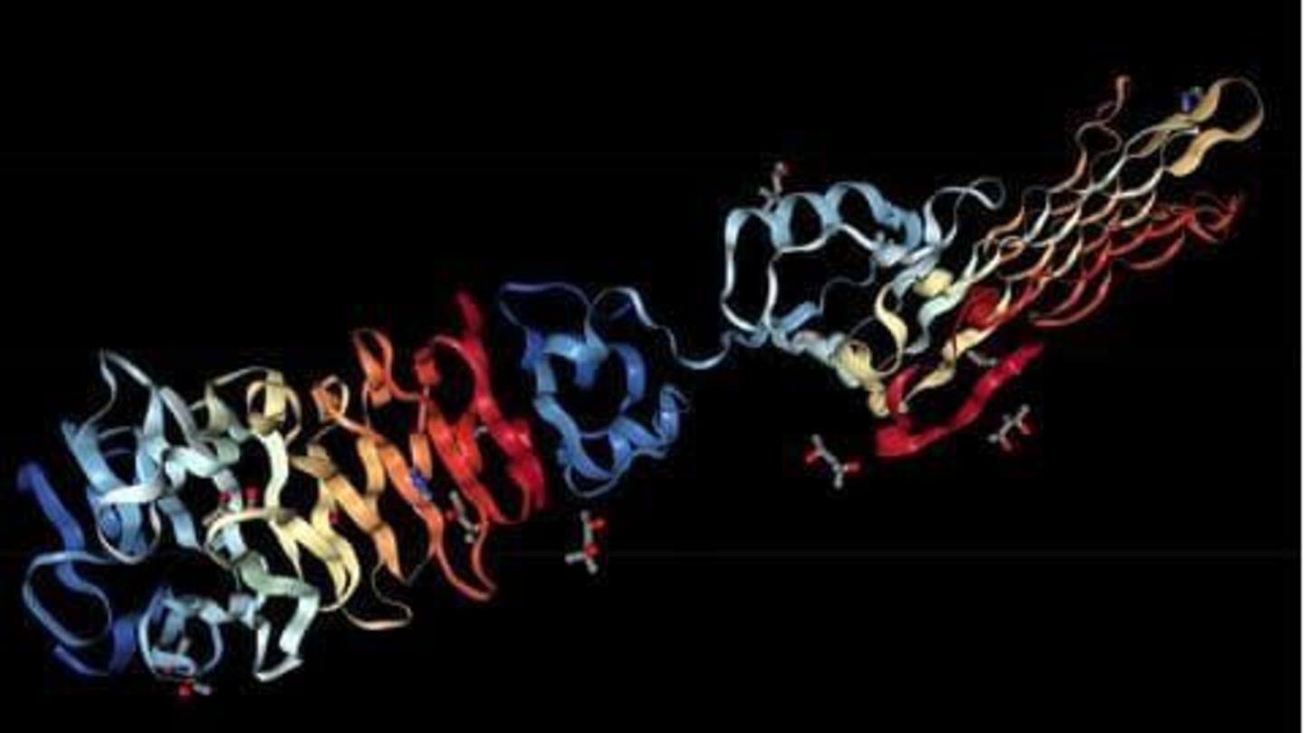 AI DeepMind milik Google ungkap struktur 3 dimensi 'semua jenis protein'