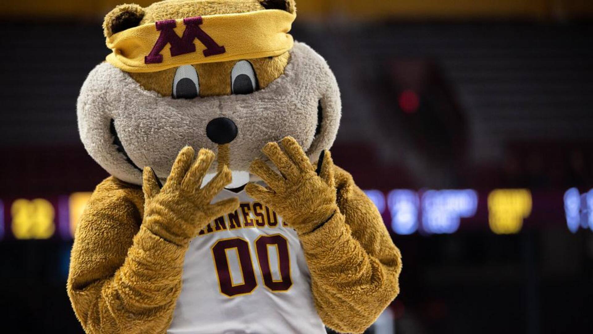 Mengapa maskot kampus penting dalam budaya olahraga?