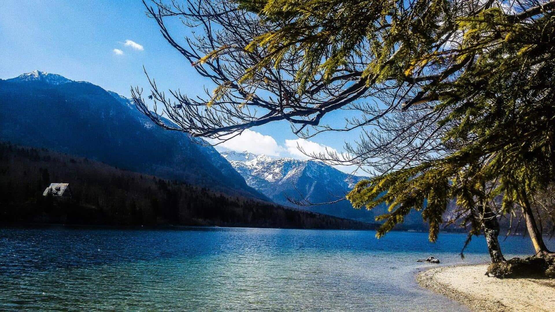 Menikmati Keindahan Danau dan Kota di Slovenia