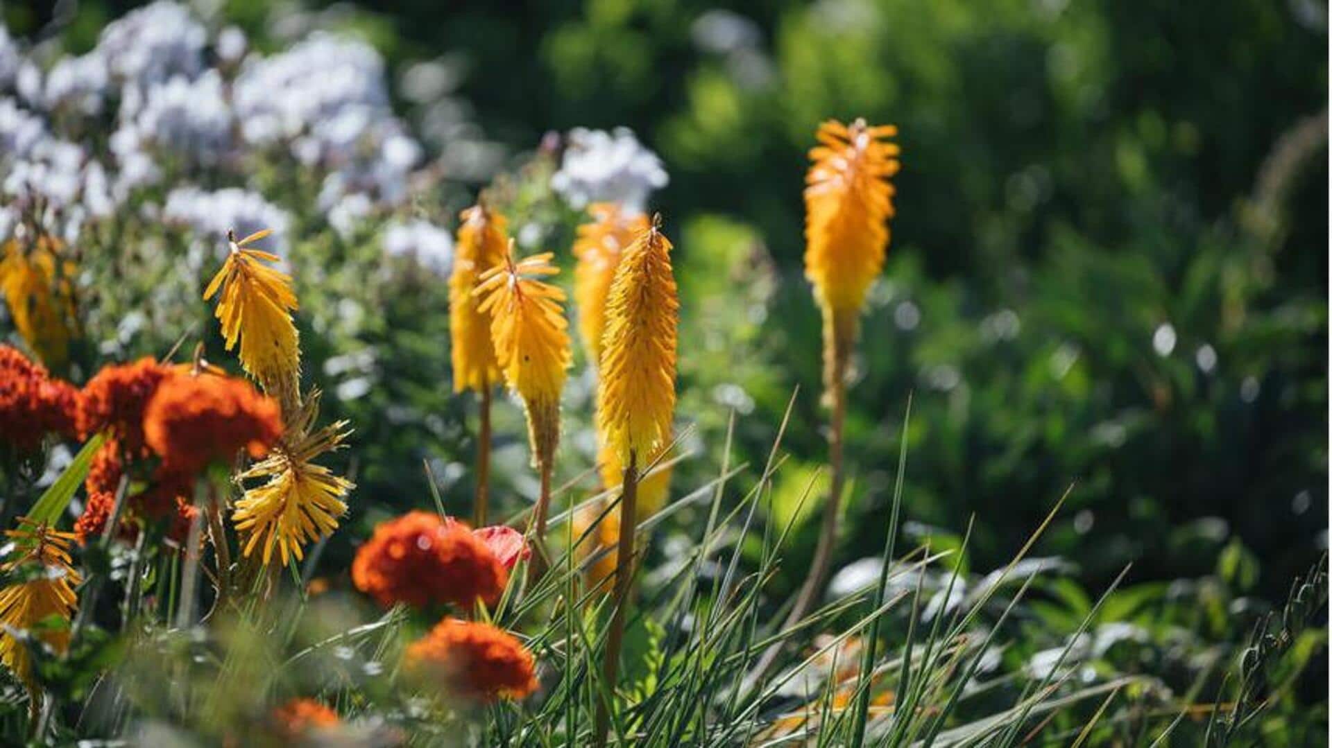 Menangkap Tekstur yang Halus dalam Fotografi Taman