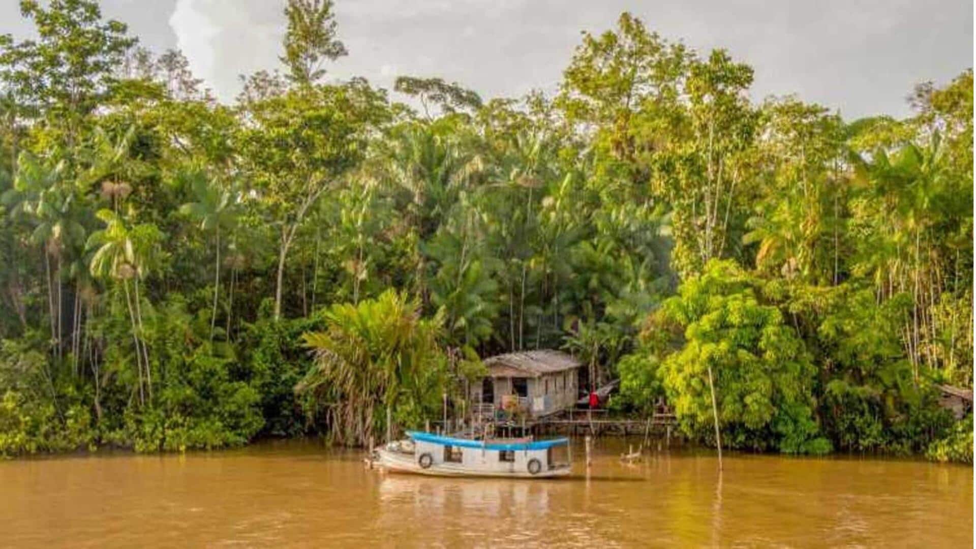 Mengungkap rahasia hutan hujan Amazon Brasil