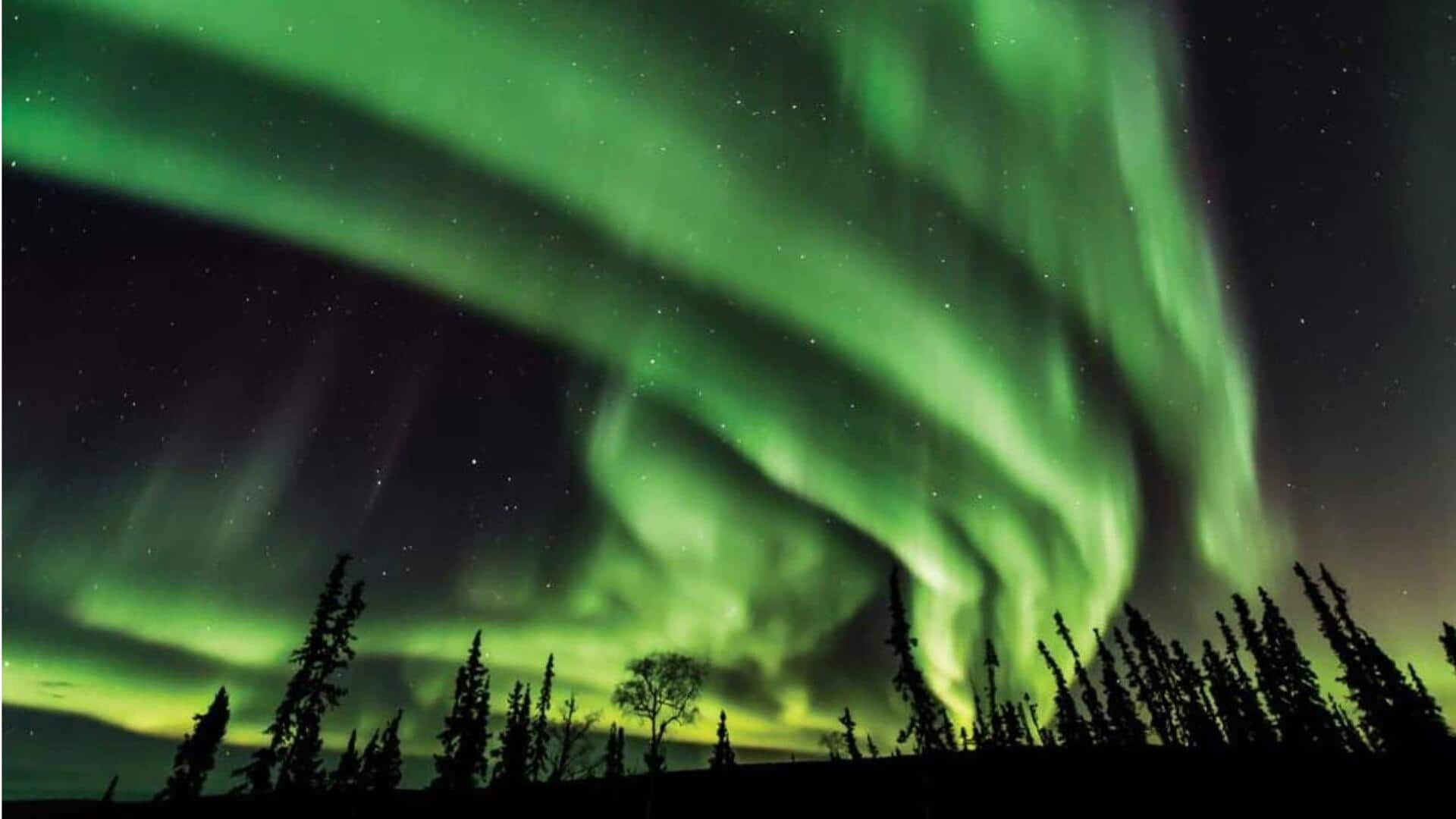 Rasakan keajaiban cahaya utara di Fairbanks, Alaska