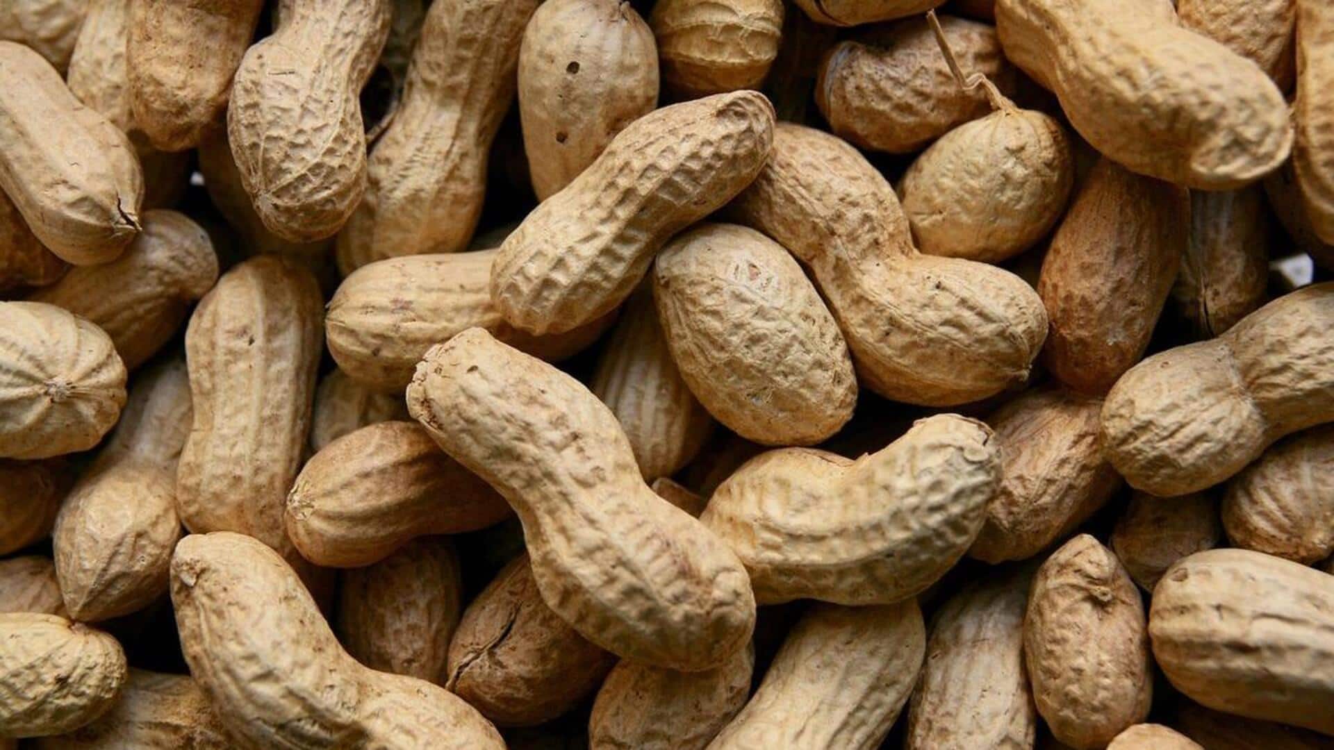 Kacang Eksotis Indonesia dalam Beragam Resep Vegetarian Sederhana
