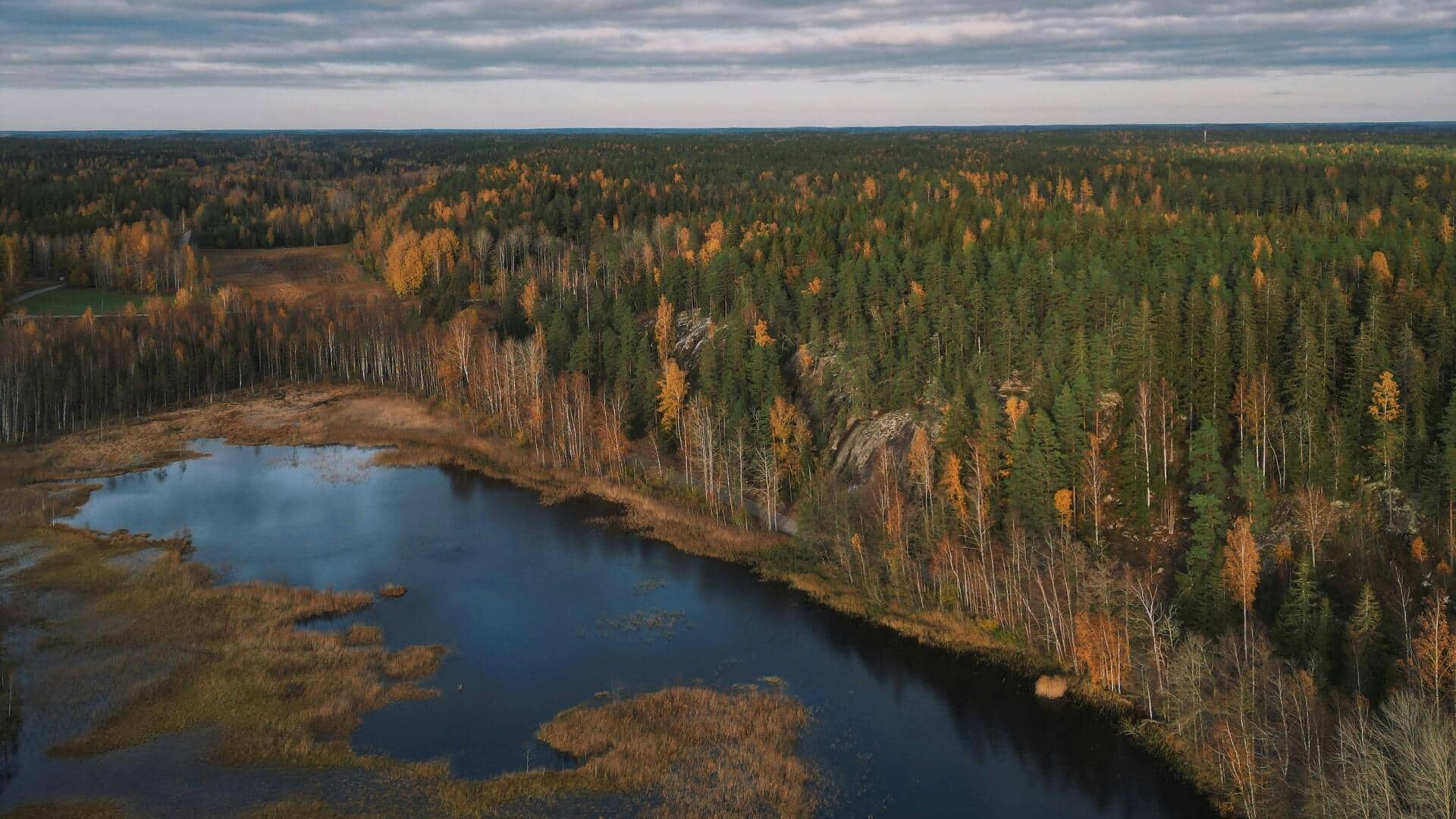 Menemukan Jalur Alam Tenang di Helsinki