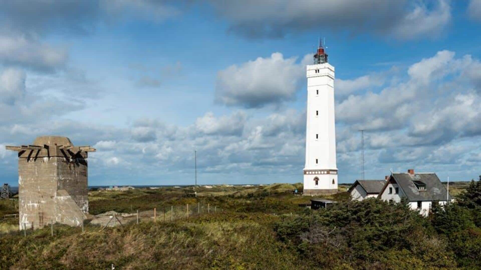 Menjelajahi Lima Hutan Pesisir yang Memesona di Denmark