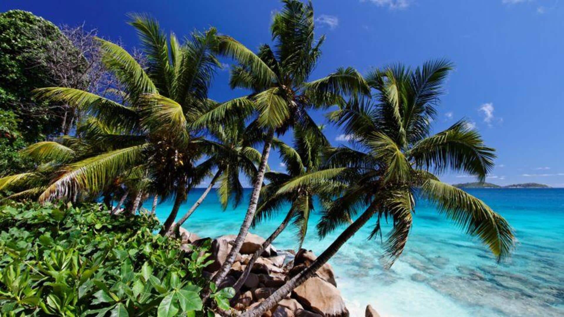 Keindahan Pulau Terpencil di Seychelles