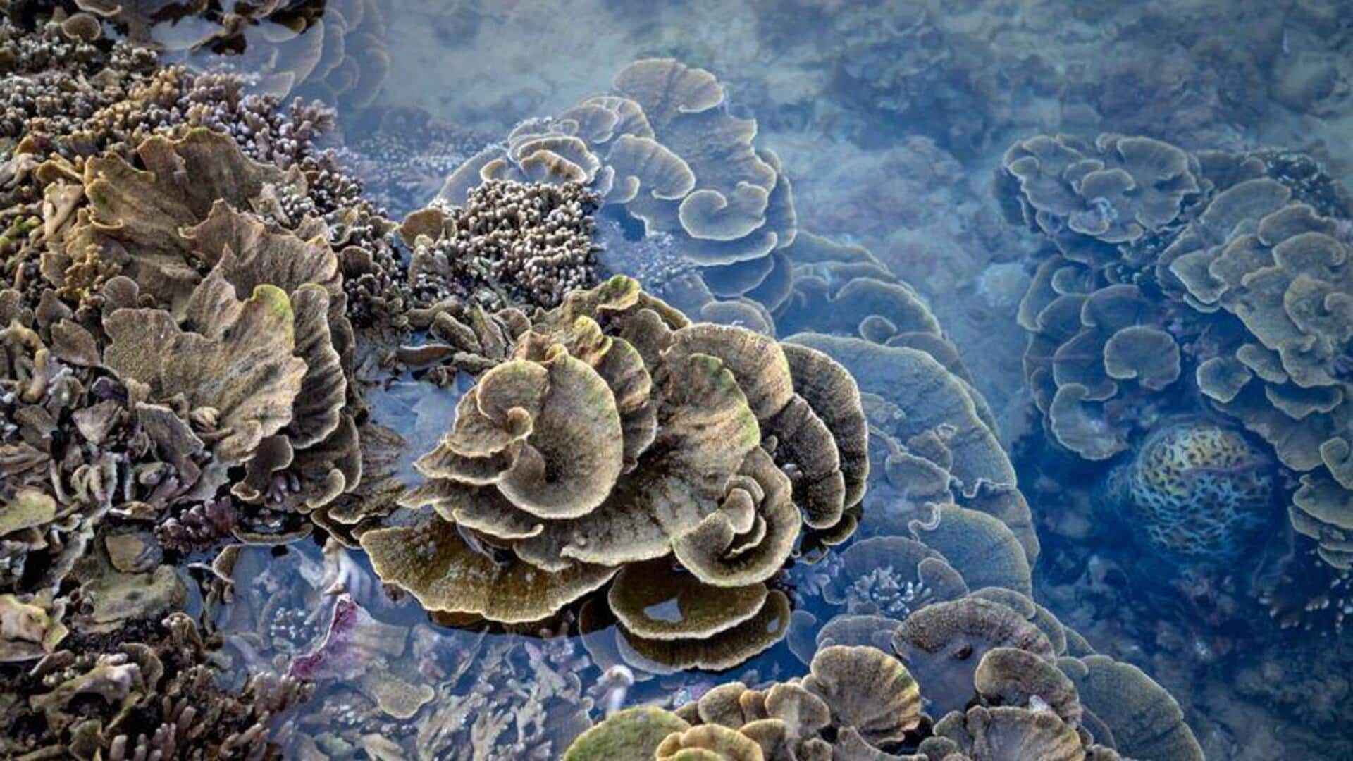 Inovasi Teknologi Laut yang Memengaruhi Perubahan Iklim