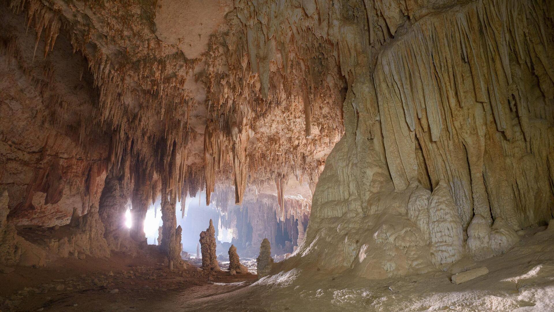 Menjelajahi Keajaiban Pulau Socotra, Yaman